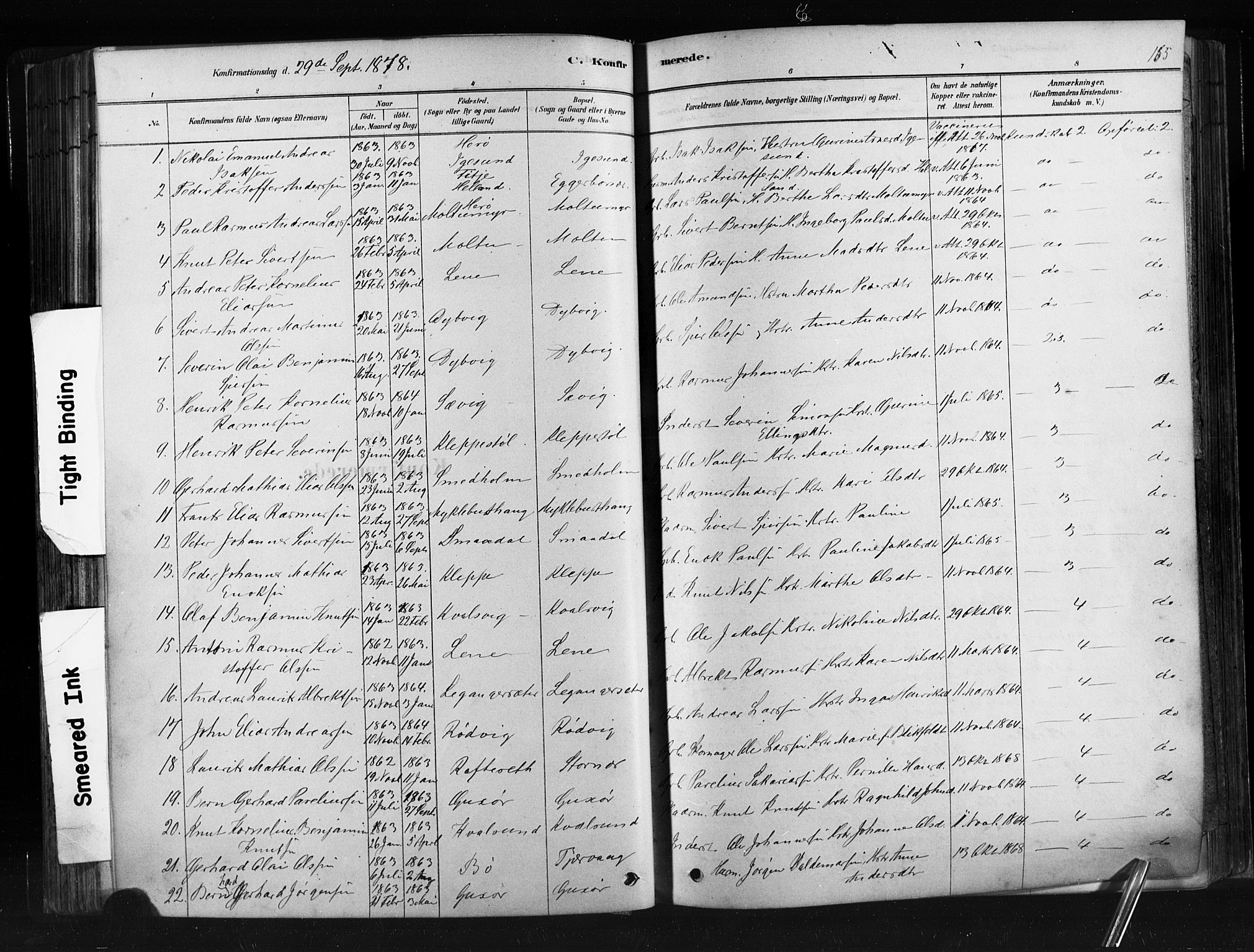 Ministerialprotokoller, klokkerbøker og fødselsregistre - Møre og Romsdal, SAT/A-1454/507/L0073: Parish register (official) no. 507A08, 1878-1904, p. 165
