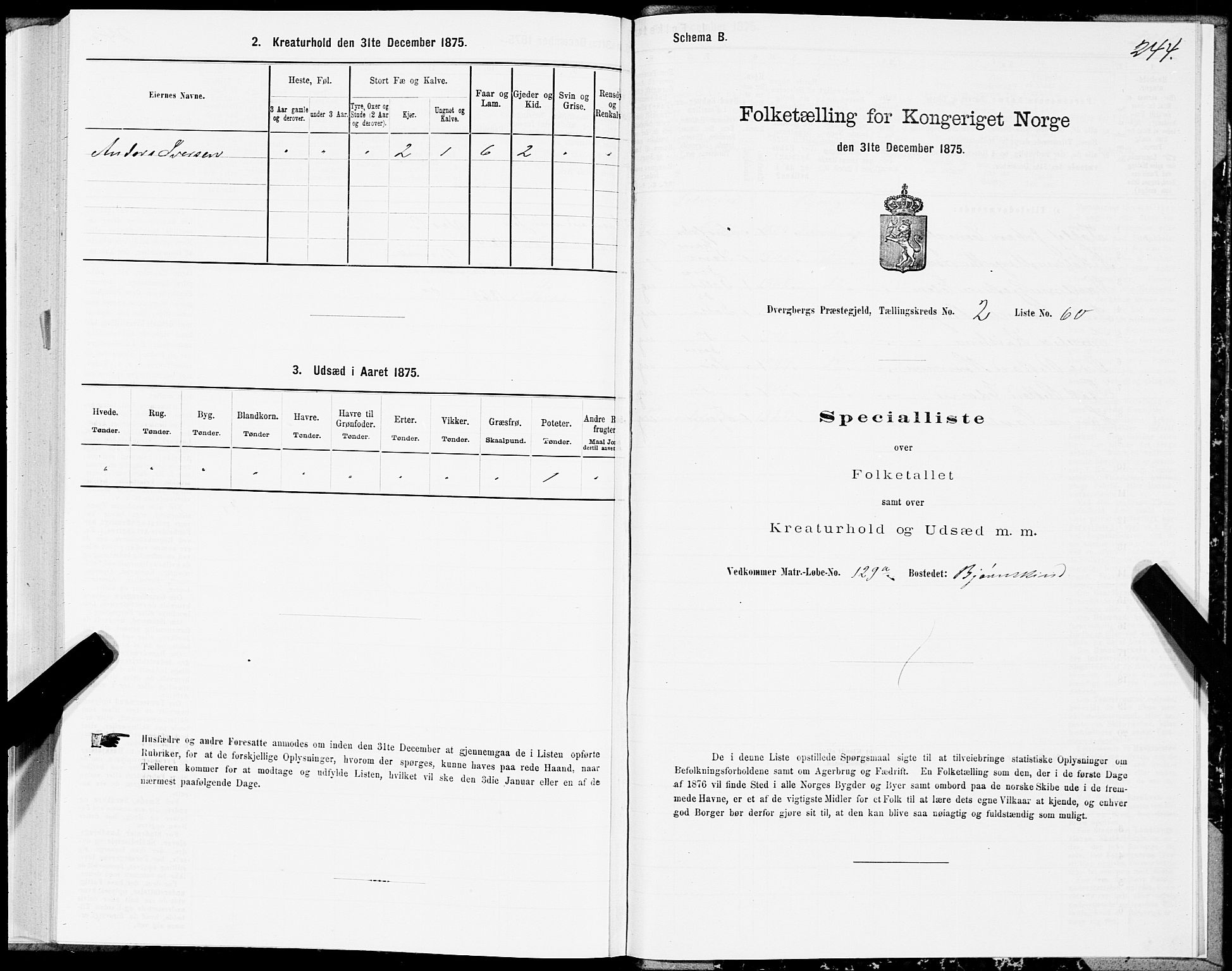SAT, 1875 census for 1872P Dverberg, 1875, p. 1244