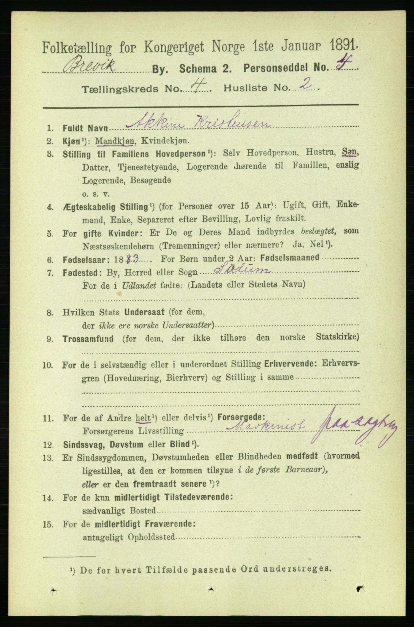 RA, 1891 census for 0804 Brevik, 1891, p. 2706