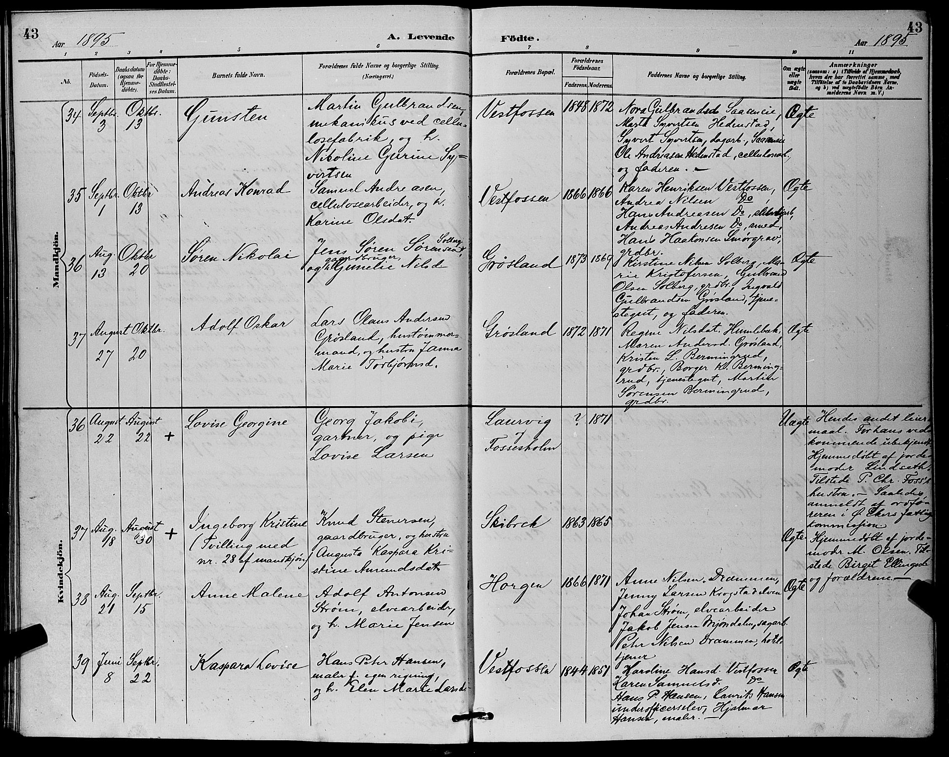 Eiker kirkebøker, AV/SAKO-A-4/G/Ga/L0007: Parish register (copy) no. I 7, 1893-1902, p. 43