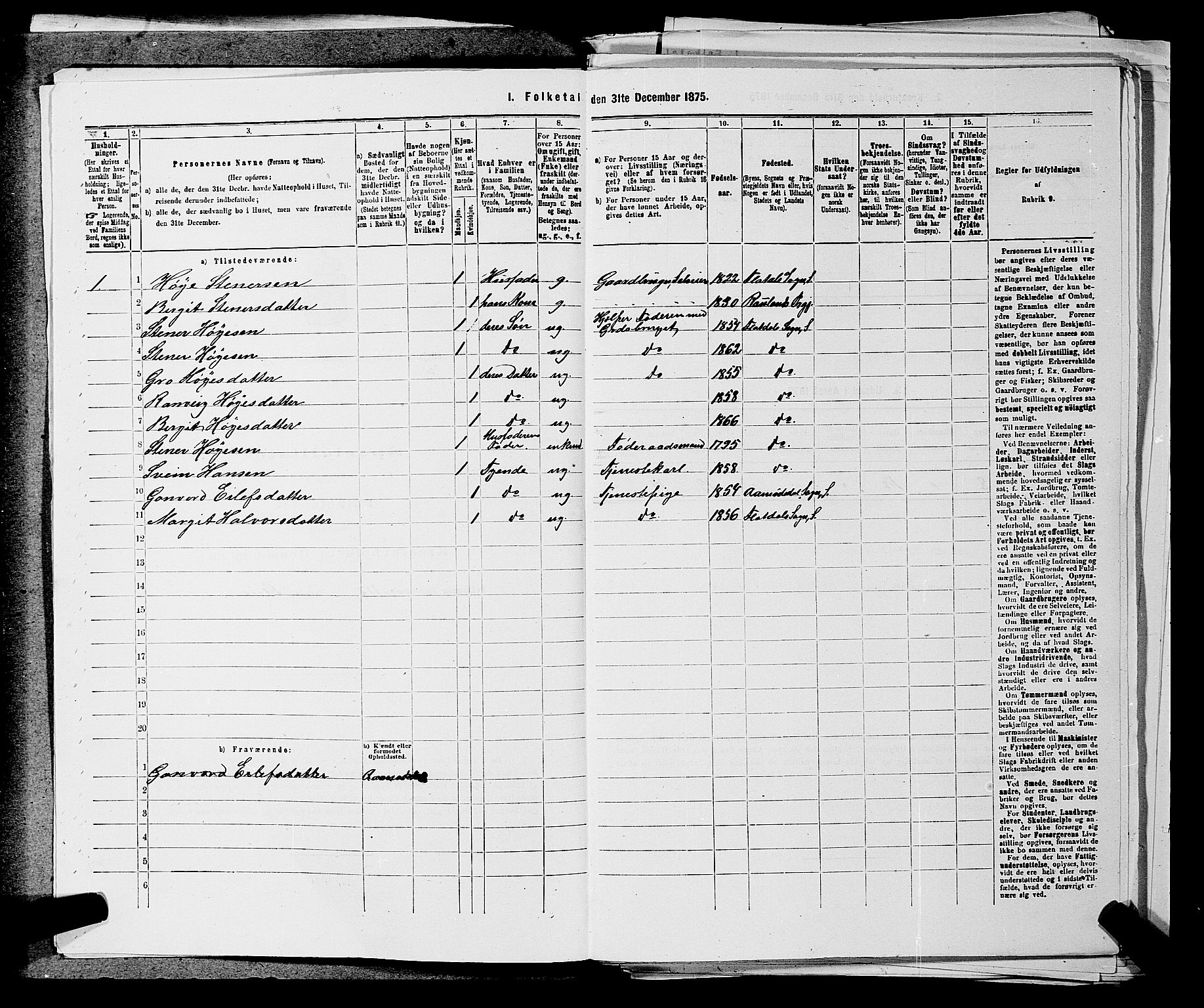 SAKO, 1875 census for 0828P Seljord, 1875, p. 911