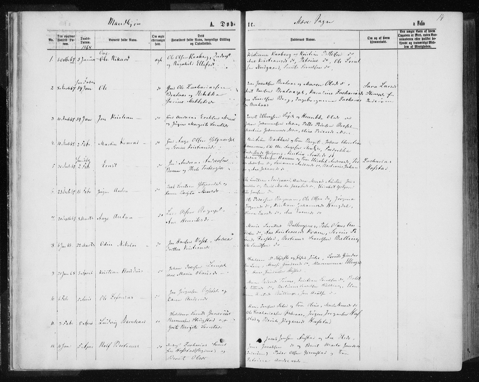 Ministerialprotokoller, klokkerbøker og fødselsregistre - Nord-Trøndelag, AV/SAT-A-1458/735/L0345: Parish register (official) no. 735A08 /1, 1863-1872, p. 14