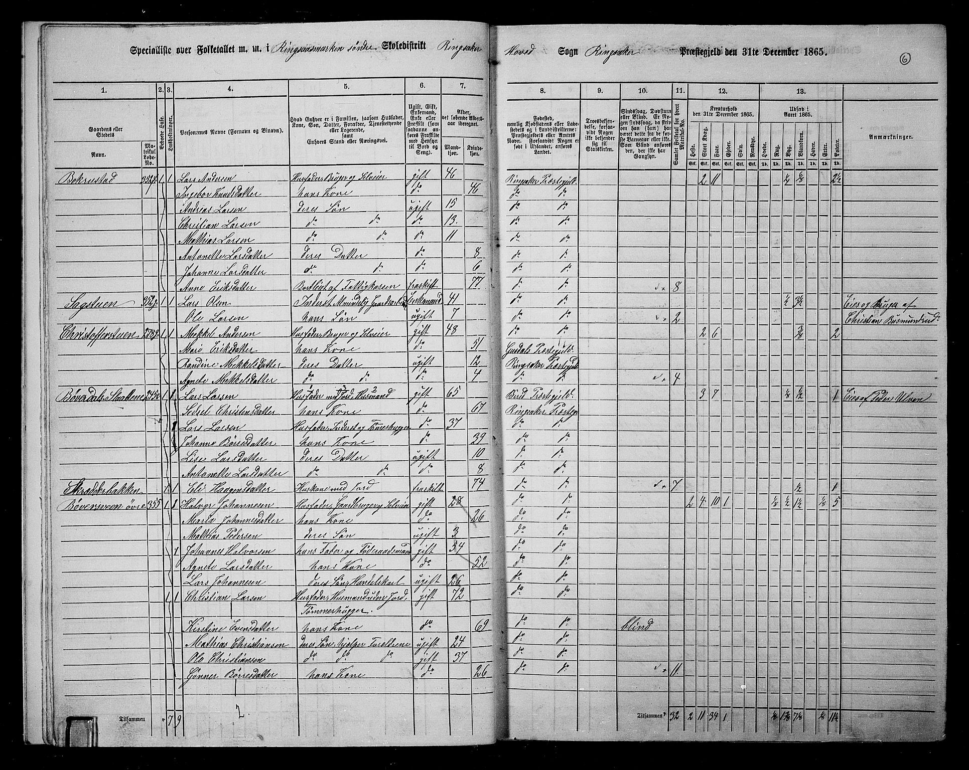 RA, 1865 census for Ringsaker, 1865, p. 270