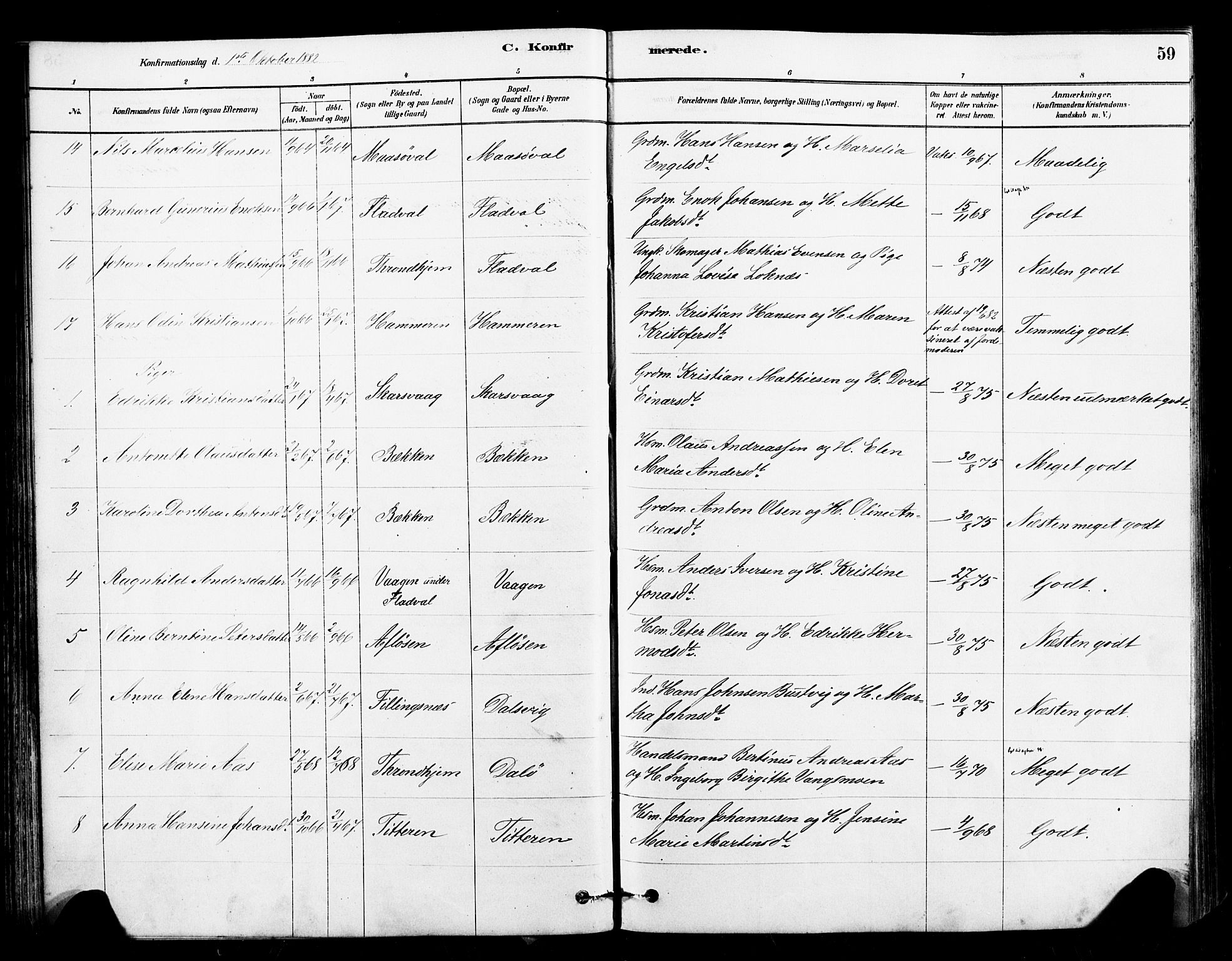 Ministerialprotokoller, klokkerbøker og fødselsregistre - Sør-Trøndelag, SAT/A-1456/641/L0595: Parish register (official) no. 641A01, 1882-1897, p. 59