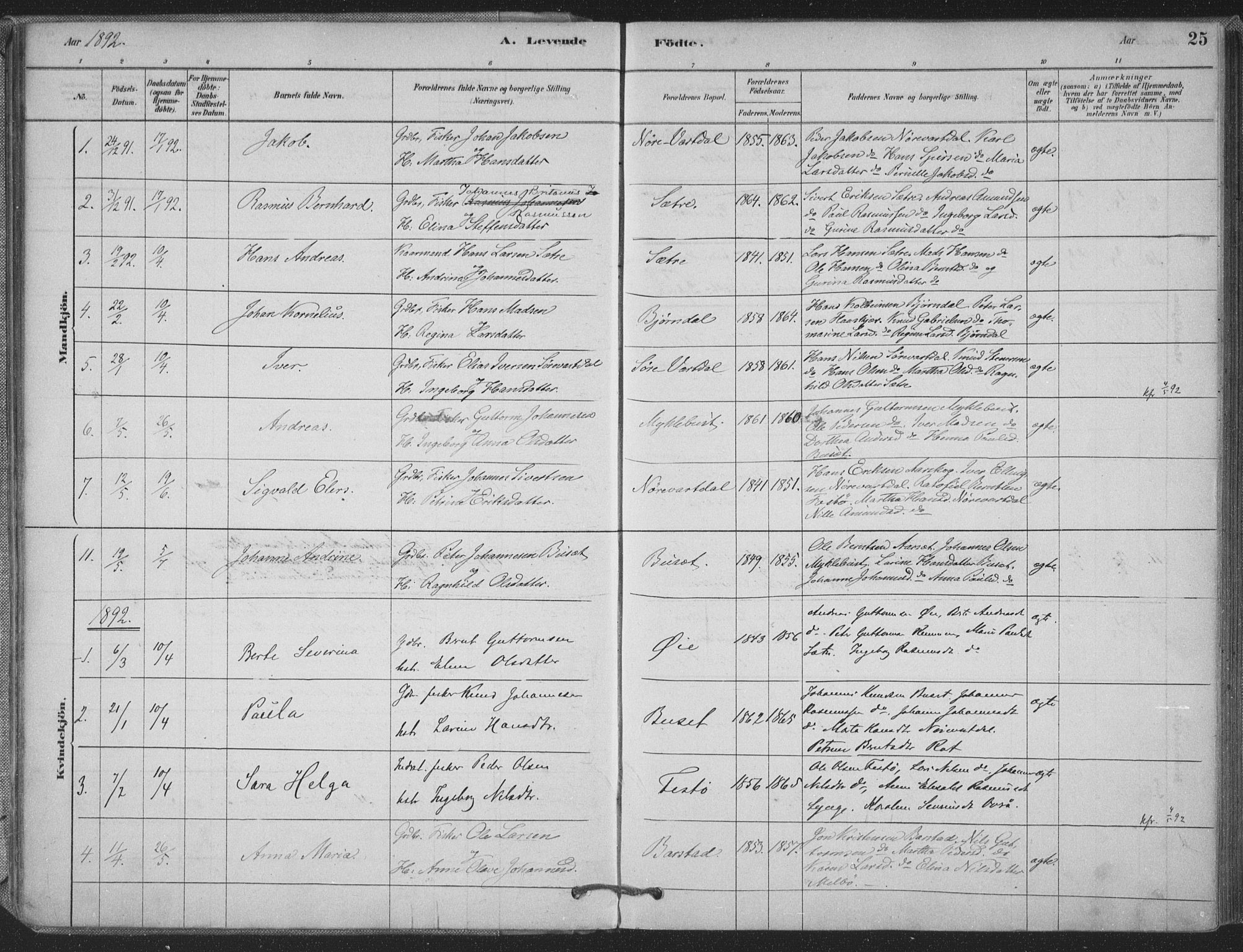Ministerialprotokoller, klokkerbøker og fødselsregistre - Møre og Romsdal, SAT/A-1454/514/L0199: Parish register (official) no. 514A01, 1878-1912, p. 25