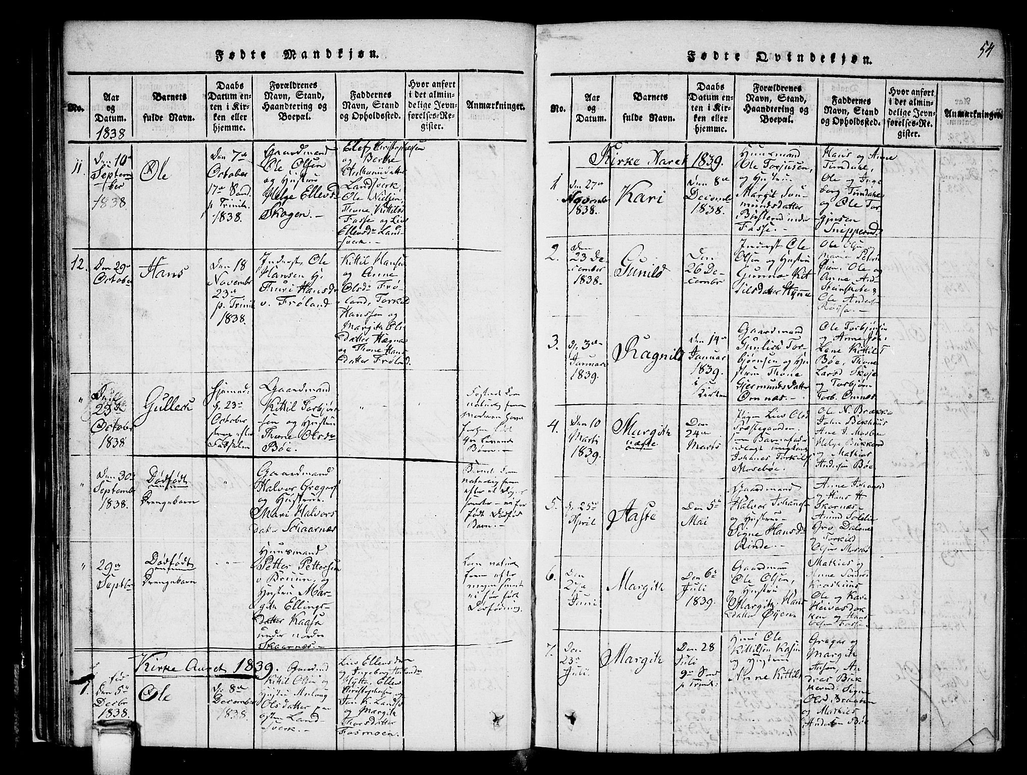 Hjartdal kirkebøker, SAKO/A-270/G/Gb/L0001: Parish register (copy) no. II 1, 1815-1842, p. 54