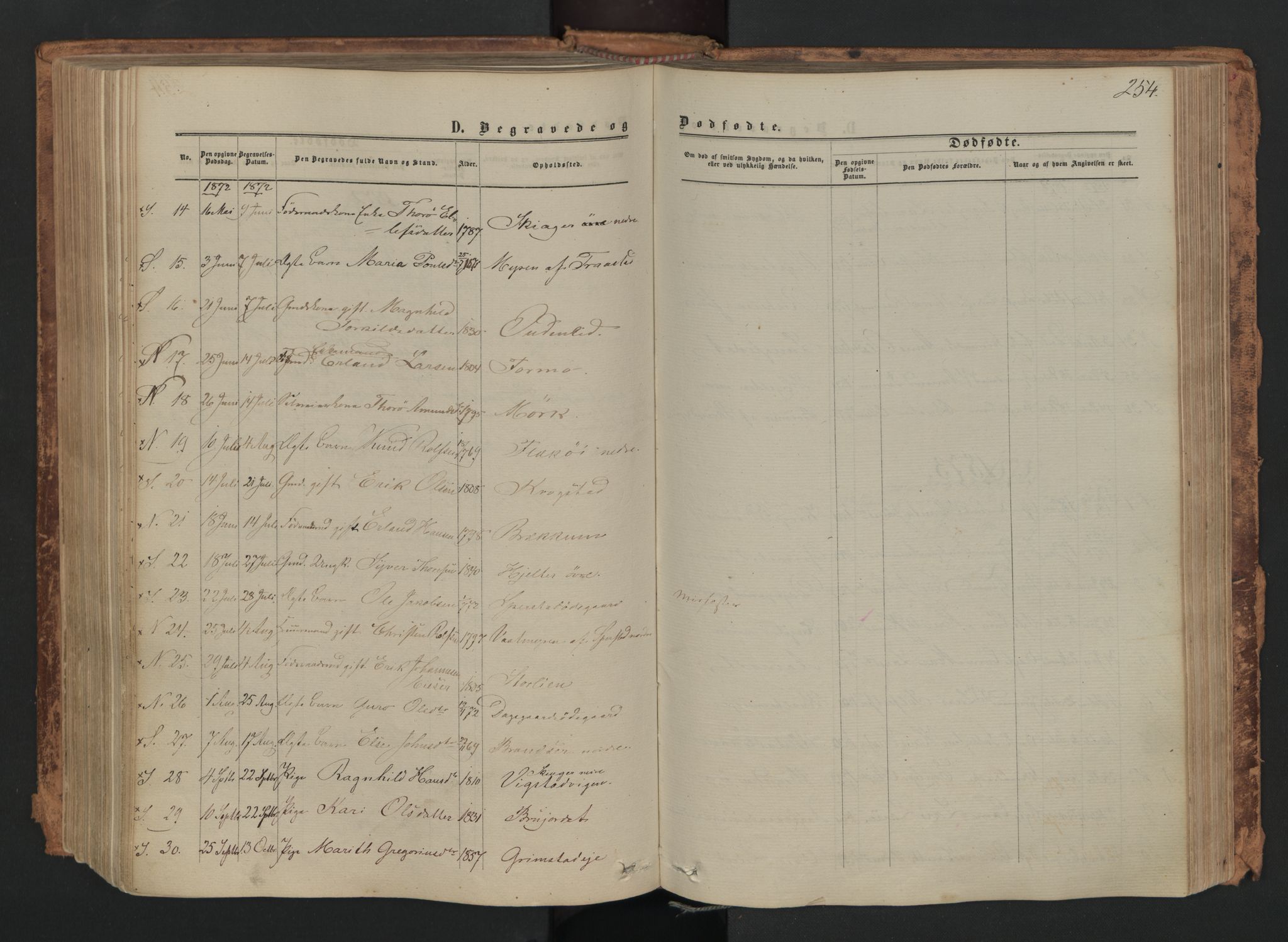 Skjåk prestekontor, SAH/PREST-072/H/Ha/Haa/L0001: Parish register (official) no. 1, 1863-1879, p. 254