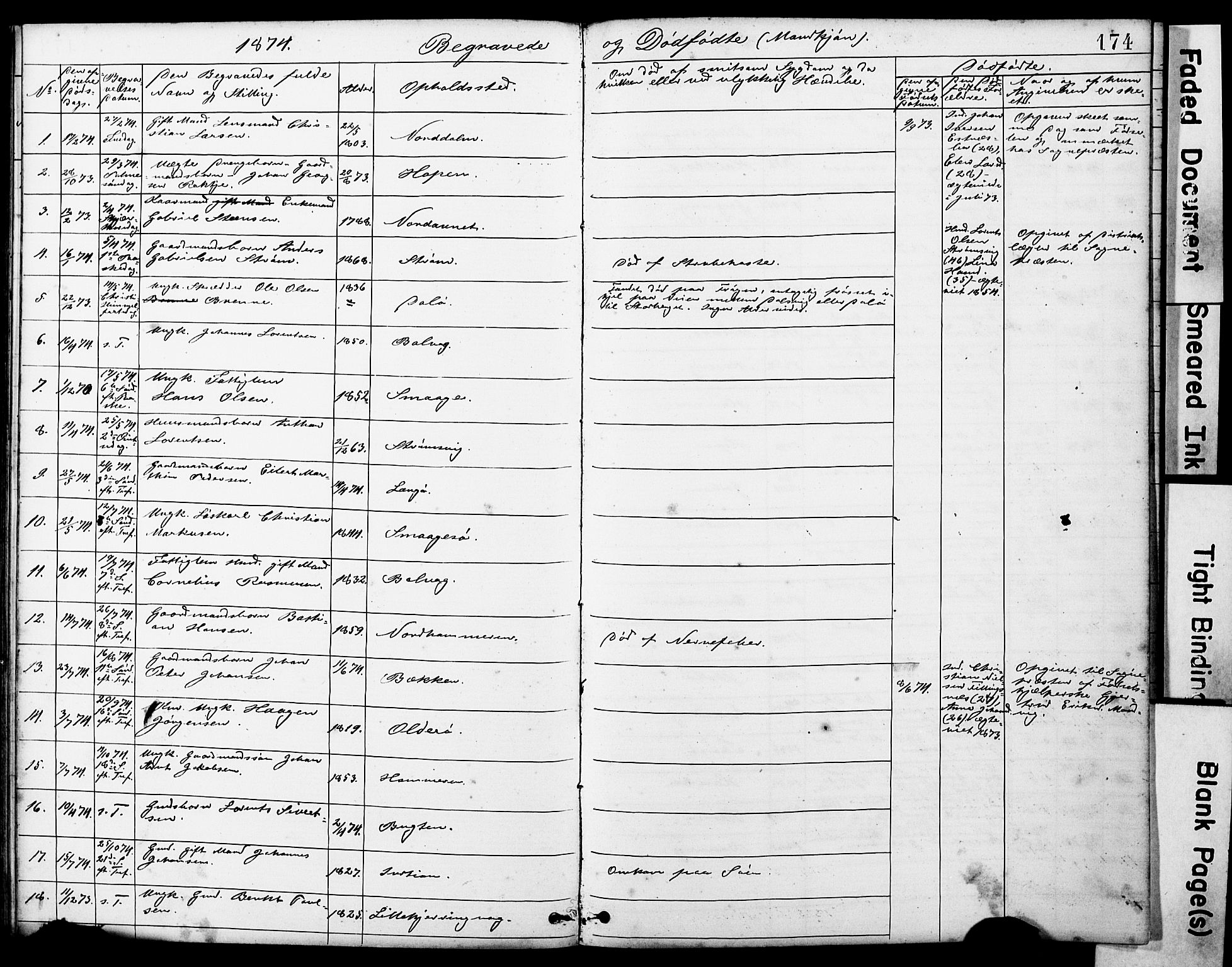 Ministerialprotokoller, klokkerbøker og fødselsregistre - Sør-Trøndelag, AV/SAT-A-1456/634/L0541: Parish register (copy) no. 634C03, 1874-1891, p. 174