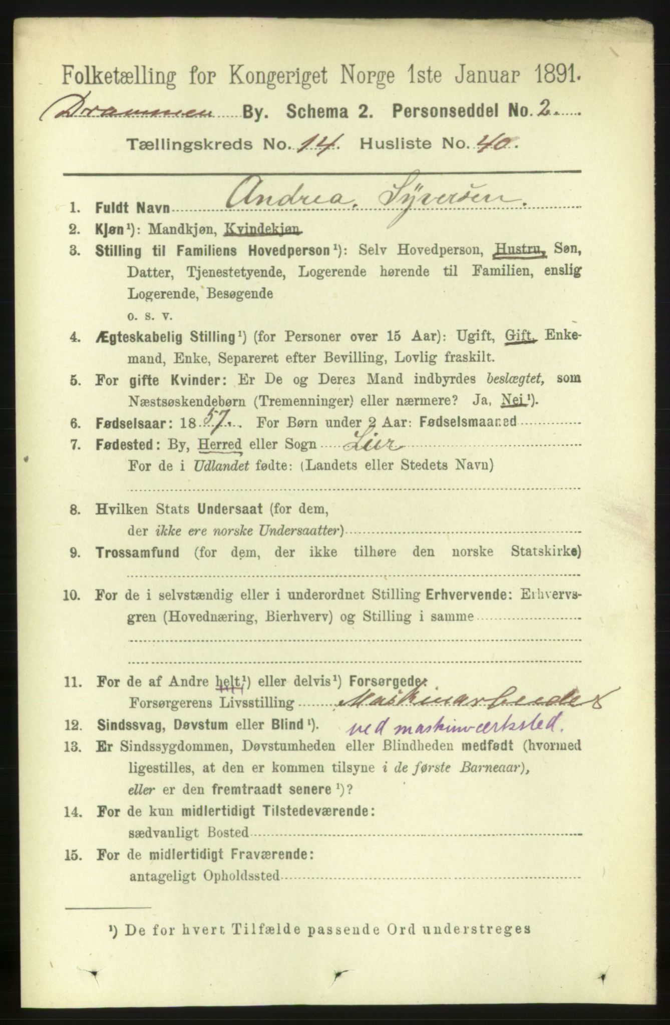 RA, 1891 census for 0602 Drammen, 1891, p. 10485