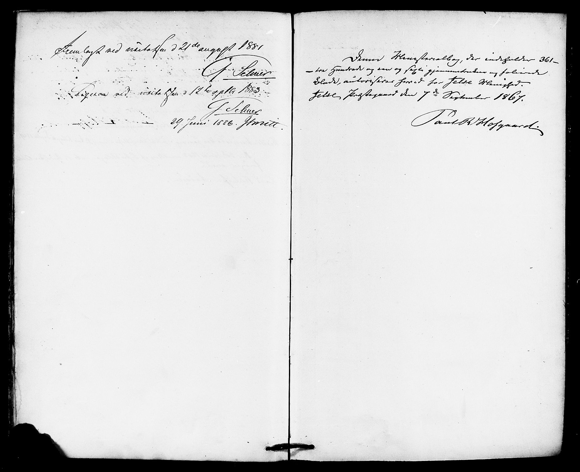 Jelsa sokneprestkontor, SAST/A-101842/01/IV: Parish register (official) no. A 8, 1867-1883