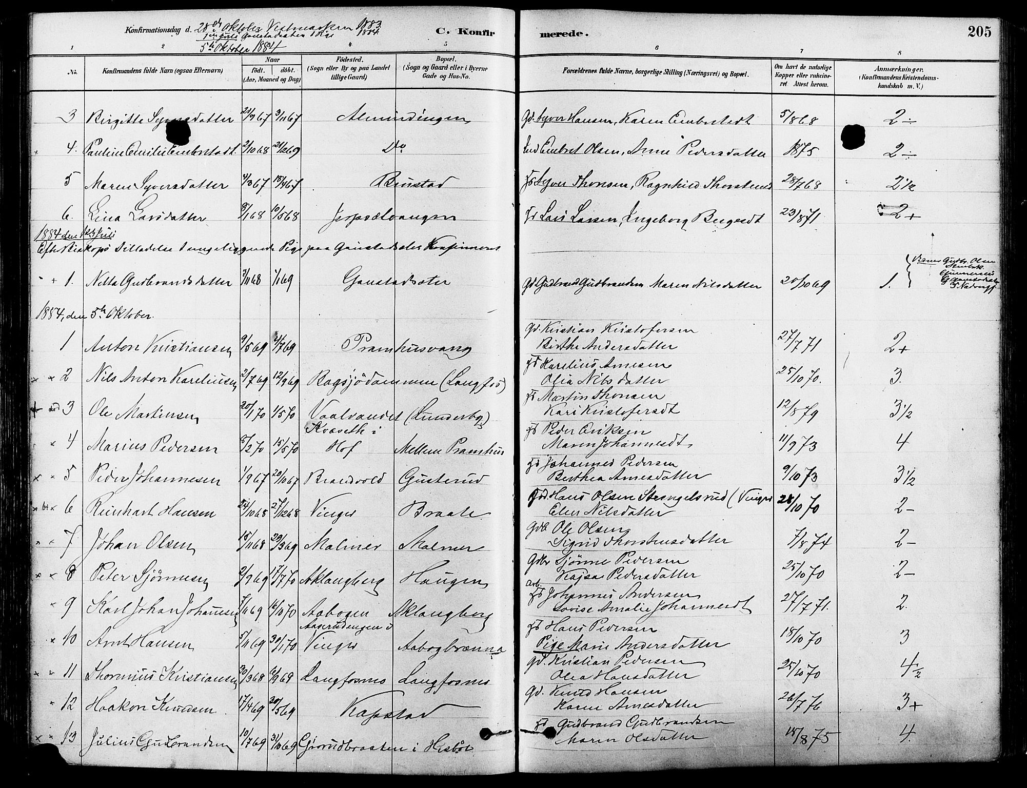 Eidskog prestekontor, SAH/PREST-026/H/Ha/Haa/L0003: Parish register (official) no. 3, 1879-1892, p. 205