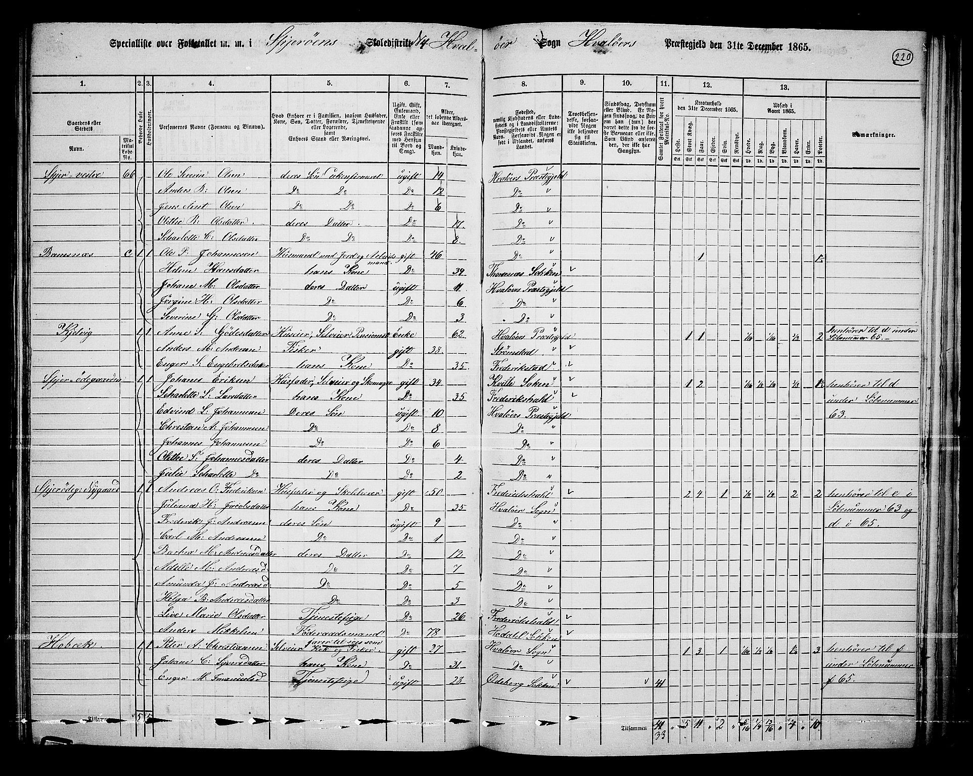 RA, 1865 census for Hvaler, 1865, p. 58