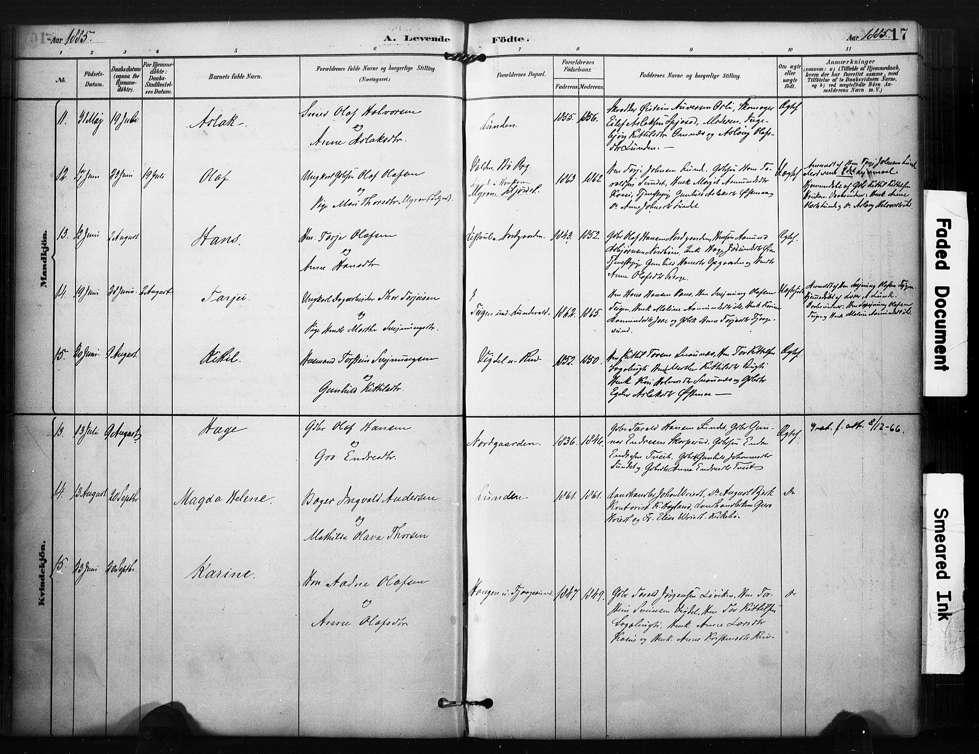 Kviteseid kirkebøker, SAKO/A-276/F/Fa/L0008: Parish register (official) no. I 8, 1882-1903, p. 17