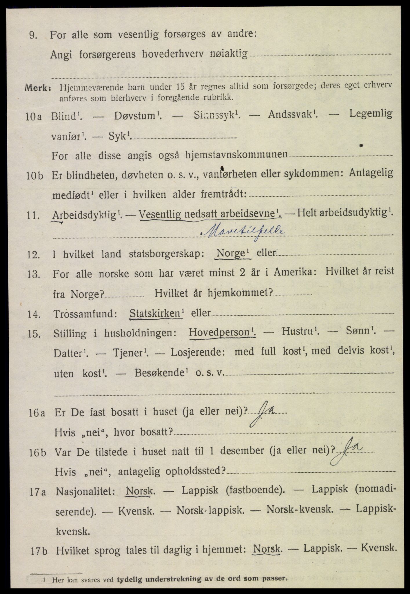 SAT, 1920 census for Ogndal, 1920, p. 1324
