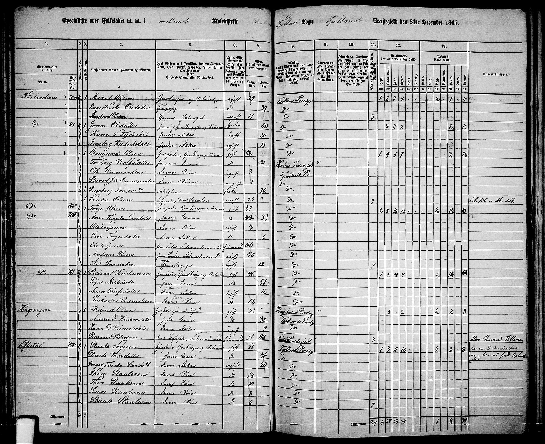 RA, 1865 census for Fjotland, 1865, p. 37