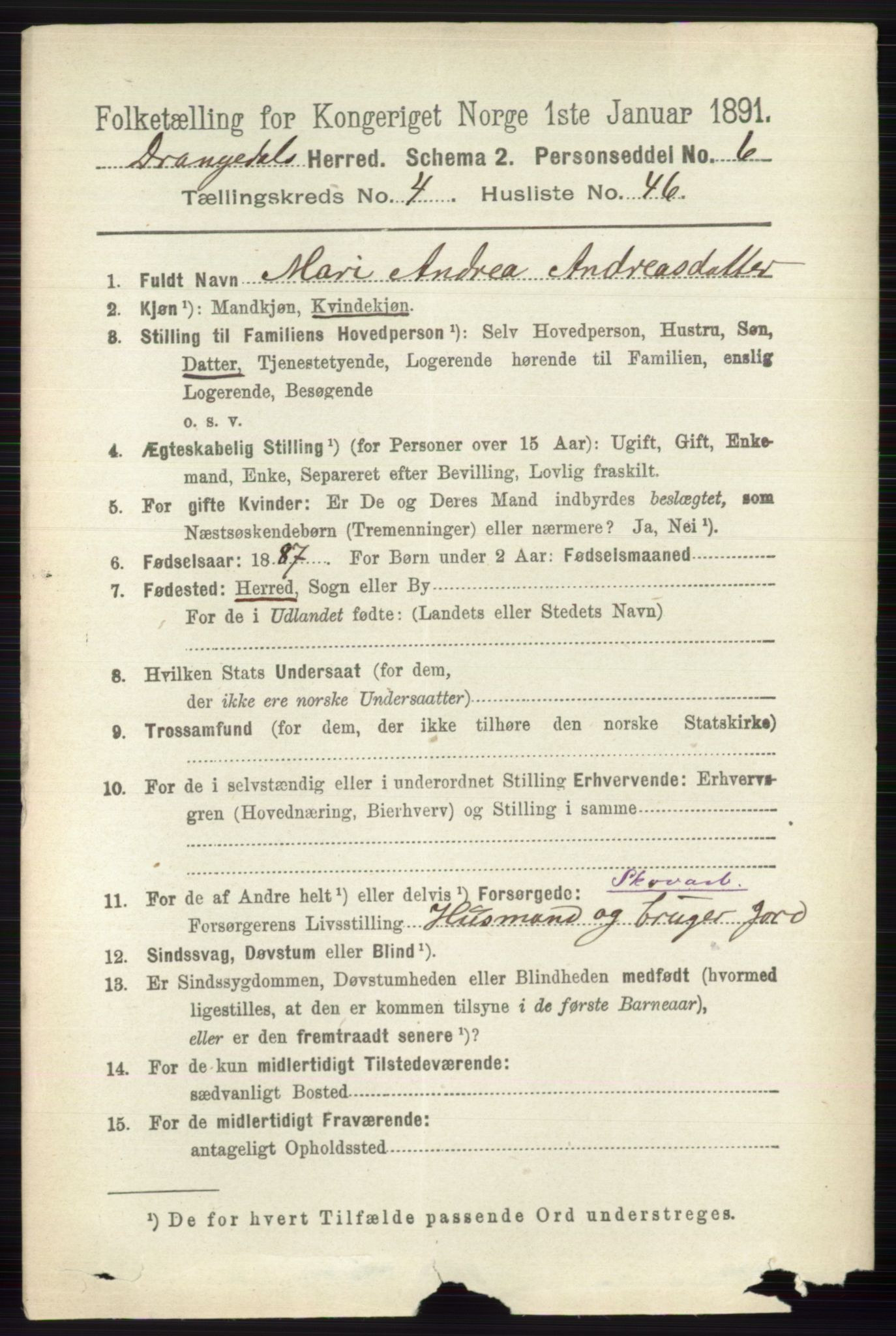 RA, 1891 census for 0817 Drangedal, 1891, p. 1623