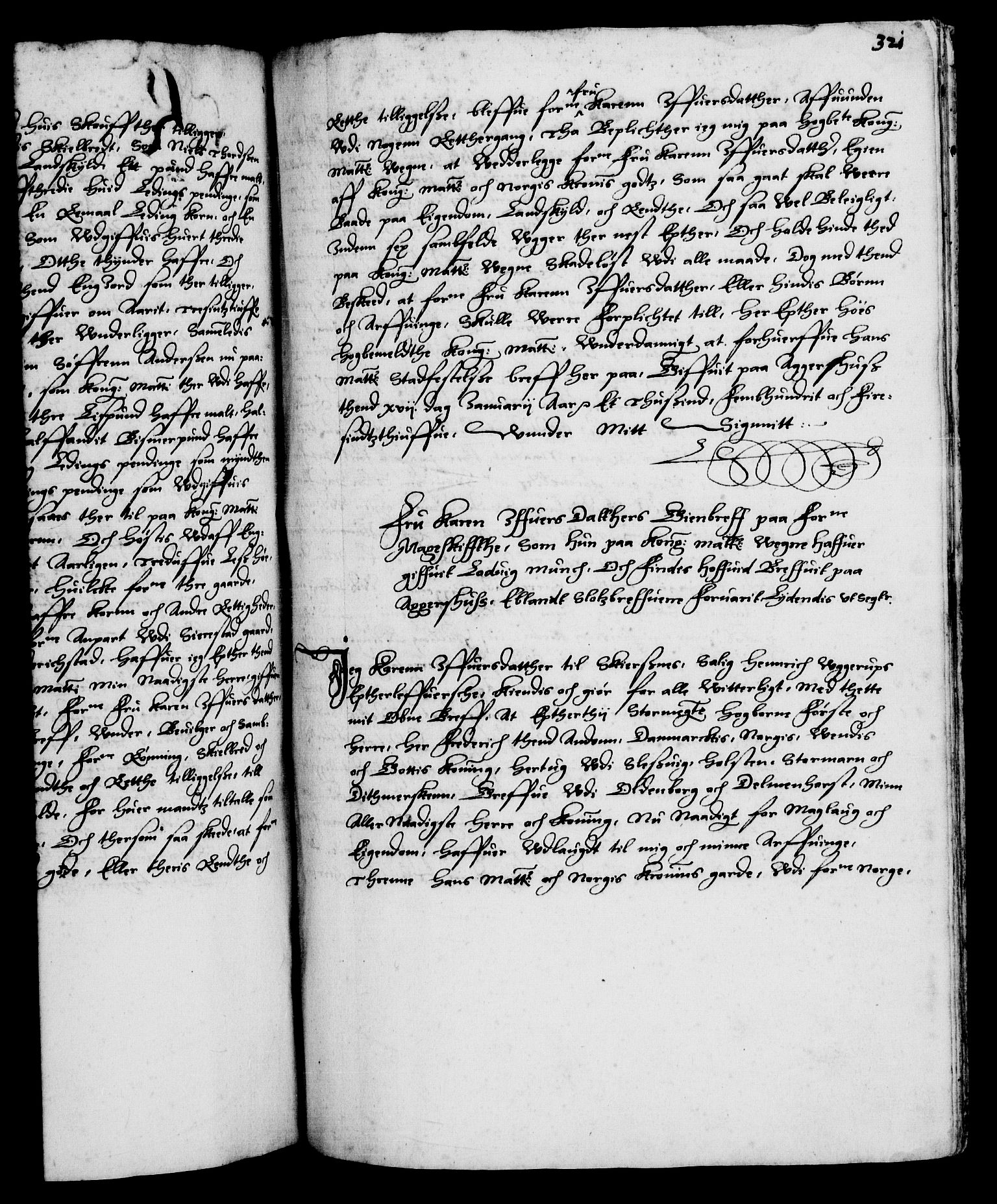 Danske Kanselli 1572-1799, RA/EA-3023/F/Fc/Fca/Fcaa/L0001: Norske registre (mikrofilm), 1572-1588, p. 321a