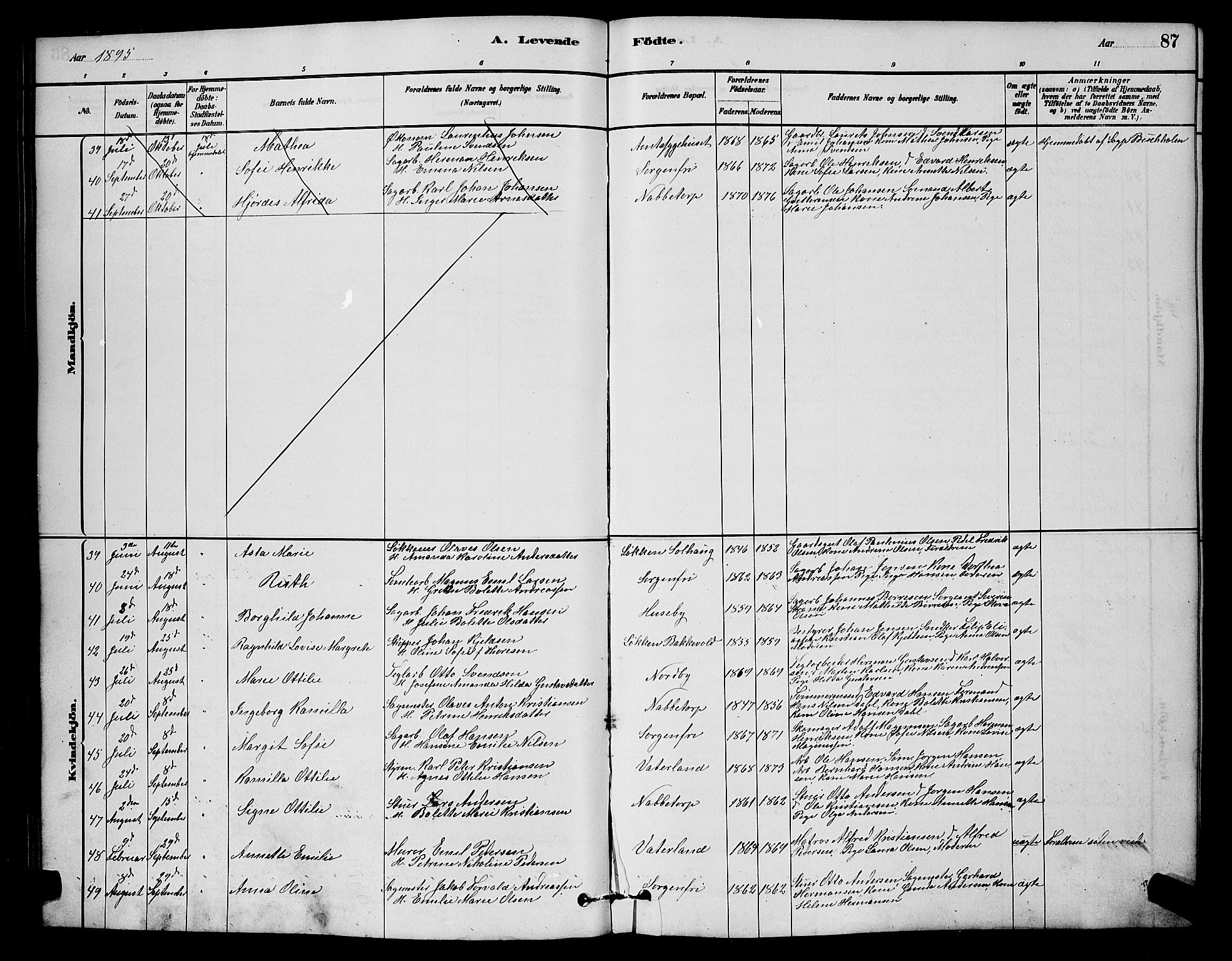 Østre Fredrikstad prestekontor Kirkebøker, AV/SAO-A-10907/G/Ga/L0001: Parish register (copy) no. 1, 1880-1899, p. 87