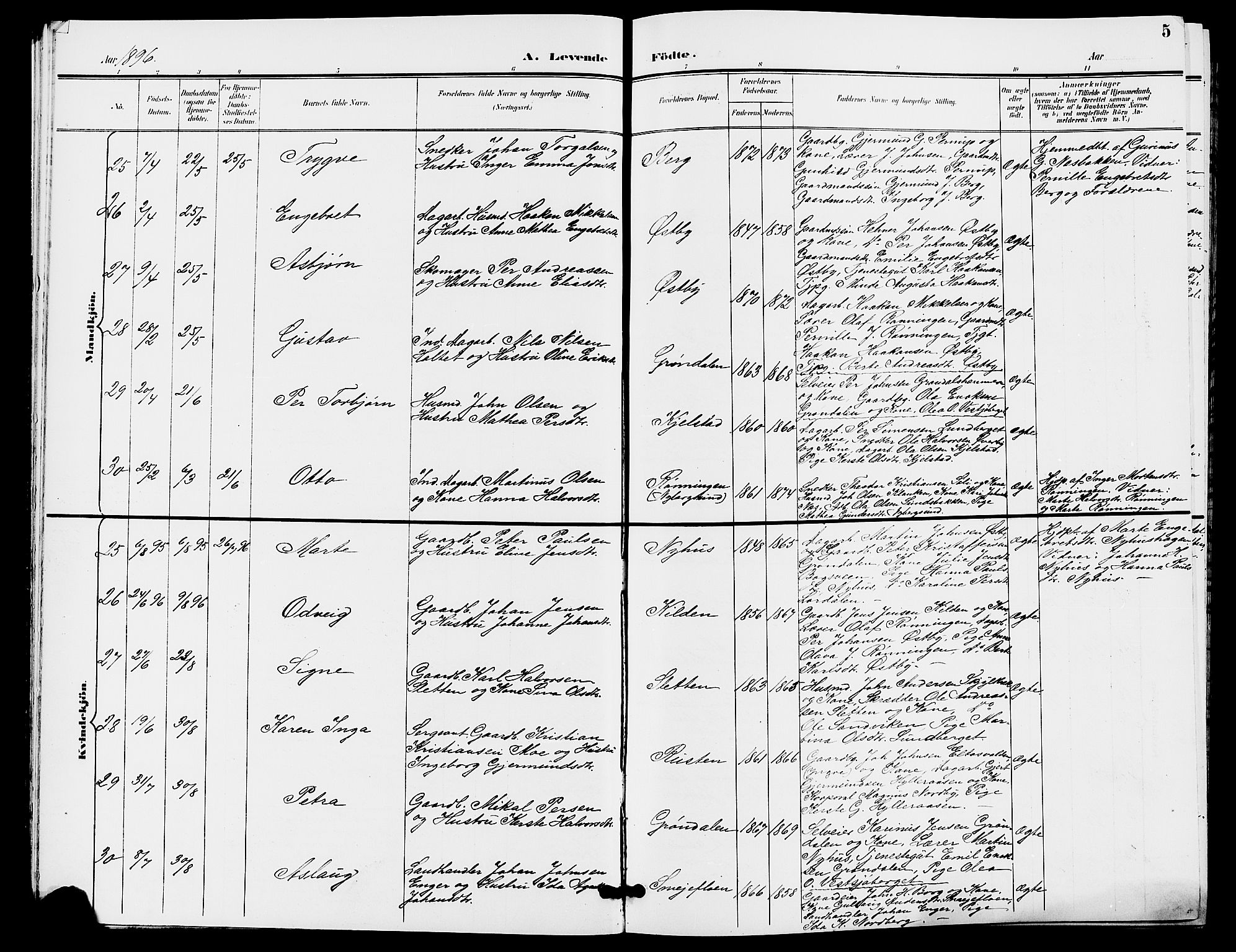 Trysil prestekontor, AV/SAH-PREST-046/H/Ha/Hab/L0006: Parish register (copy) no. 6, 1896-1912, p. 5