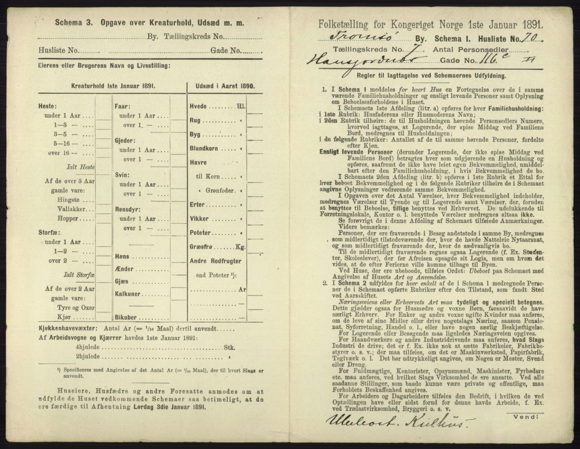 RA, 1891 census for 1902 Tromsø, 1891, p. 6654