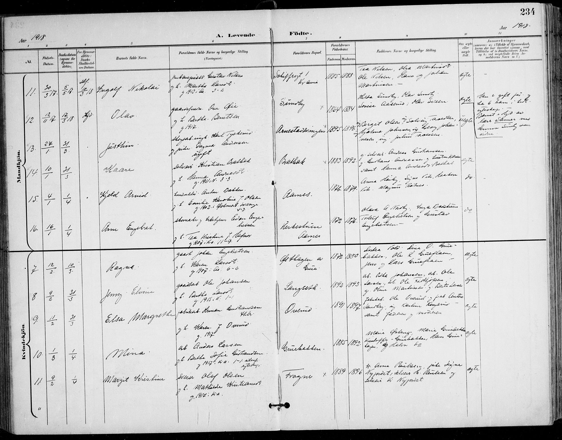 Nes prestekontor Kirkebøker, AV/SAO-A-10410/F/Fa/L0011: Parish register (official) no. I 11, 1899-1918, p. 234