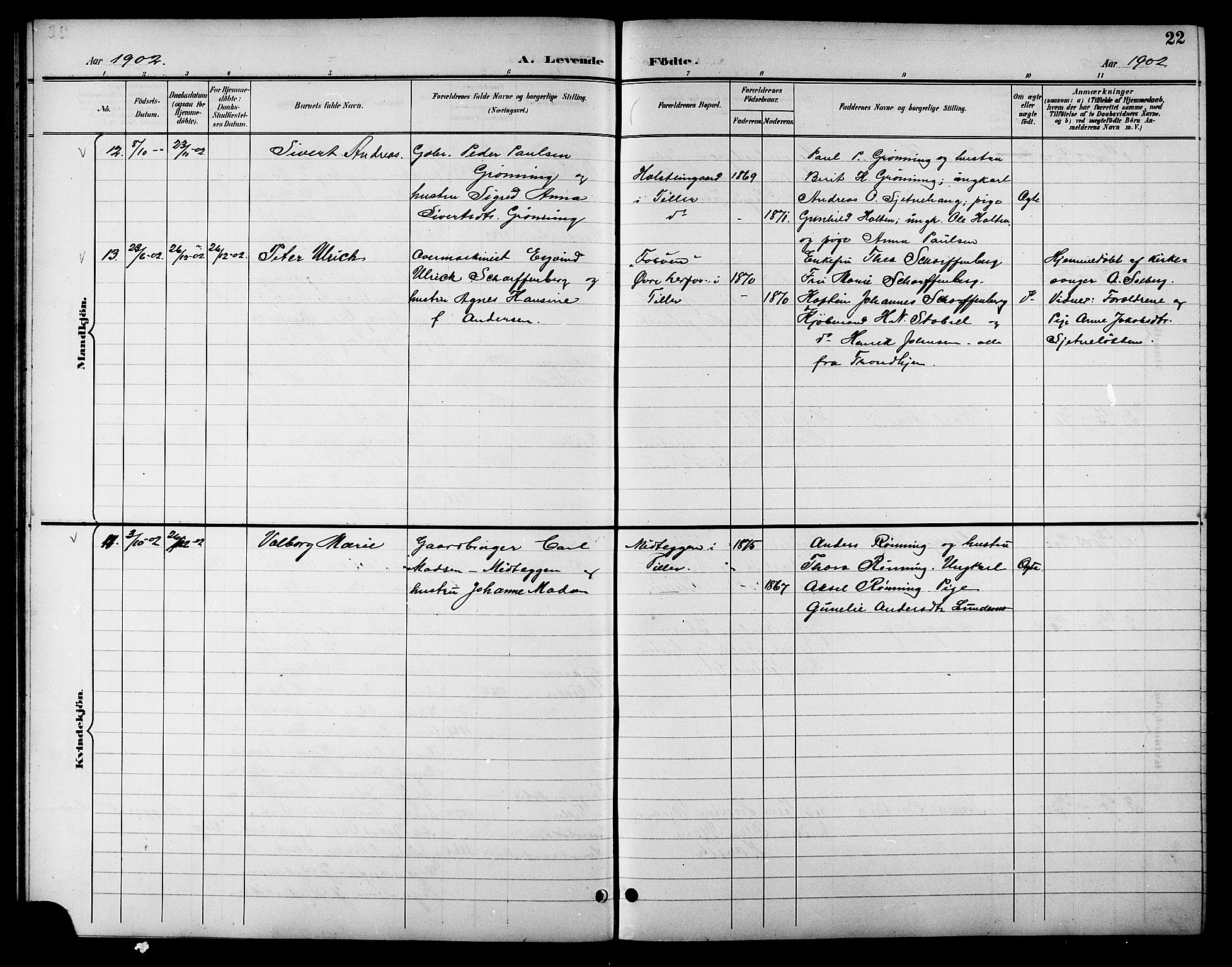 Ministerialprotokoller, klokkerbøker og fødselsregistre - Sør-Trøndelag, SAT/A-1456/621/L0460: Parish register (copy) no. 621C03, 1896-1914, p. 22