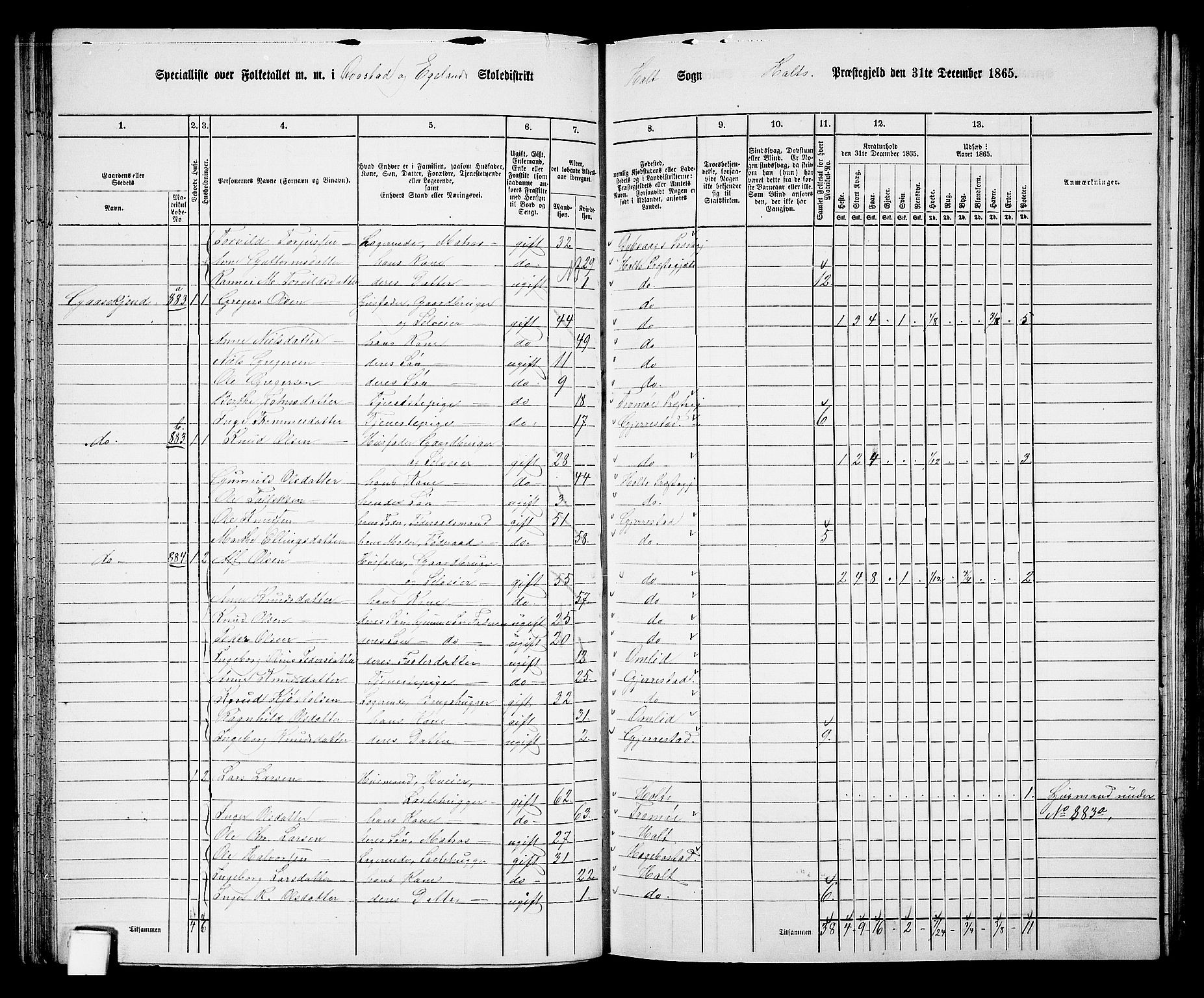 RA, 1865 census for Holt/Holt, 1865, p. 66