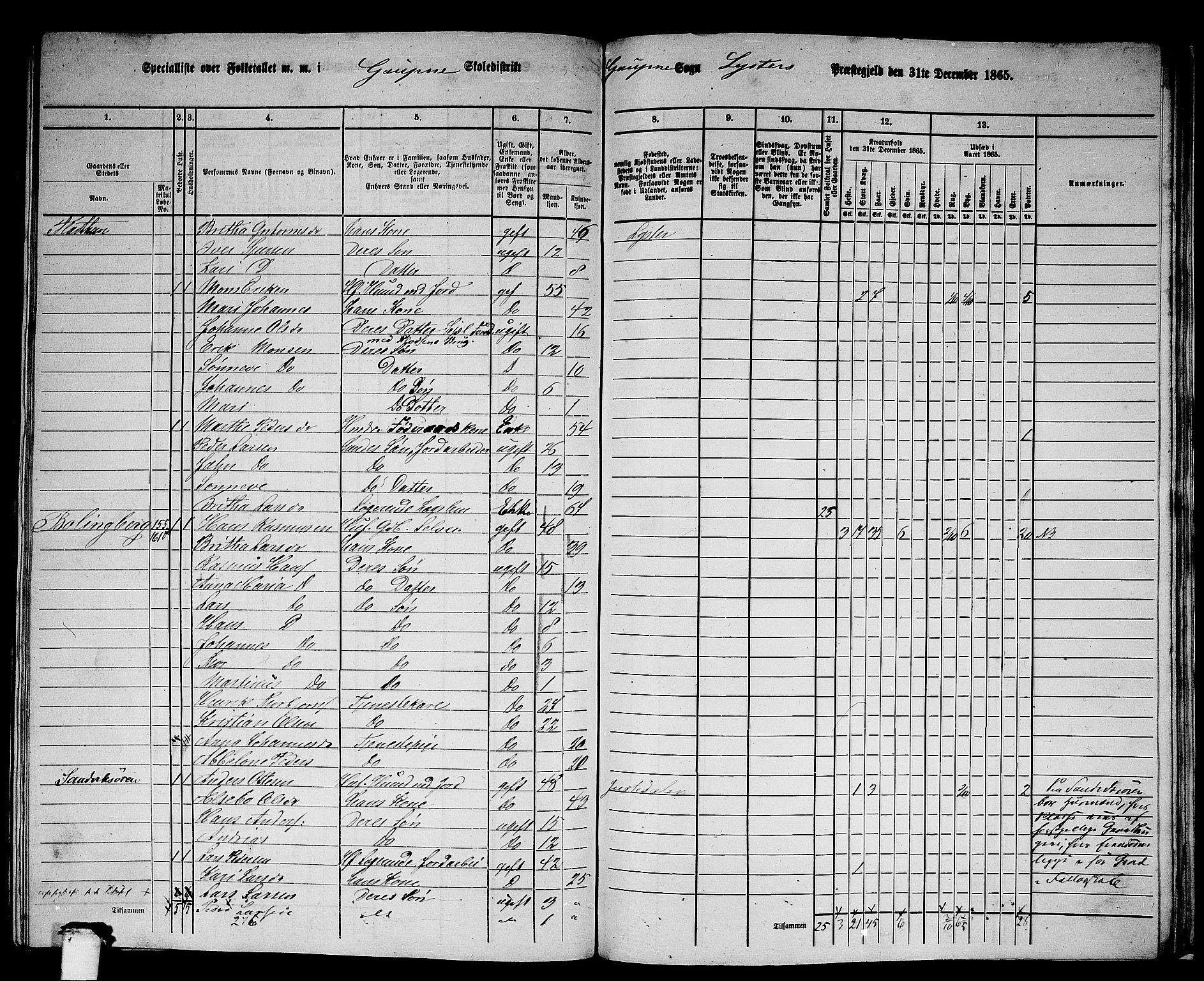 RA, 1865 census for Luster, 1865, p. 150