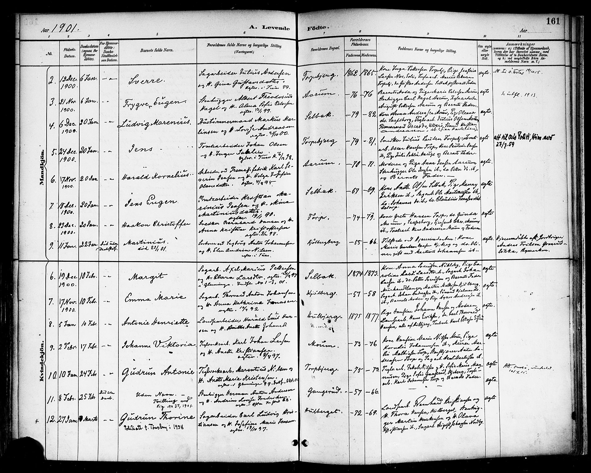 Borge prestekontor Kirkebøker, AV/SAO-A-10903/F/Fa/L0008: Parish register (official) no. I 8A, 1887-1902, p. 161