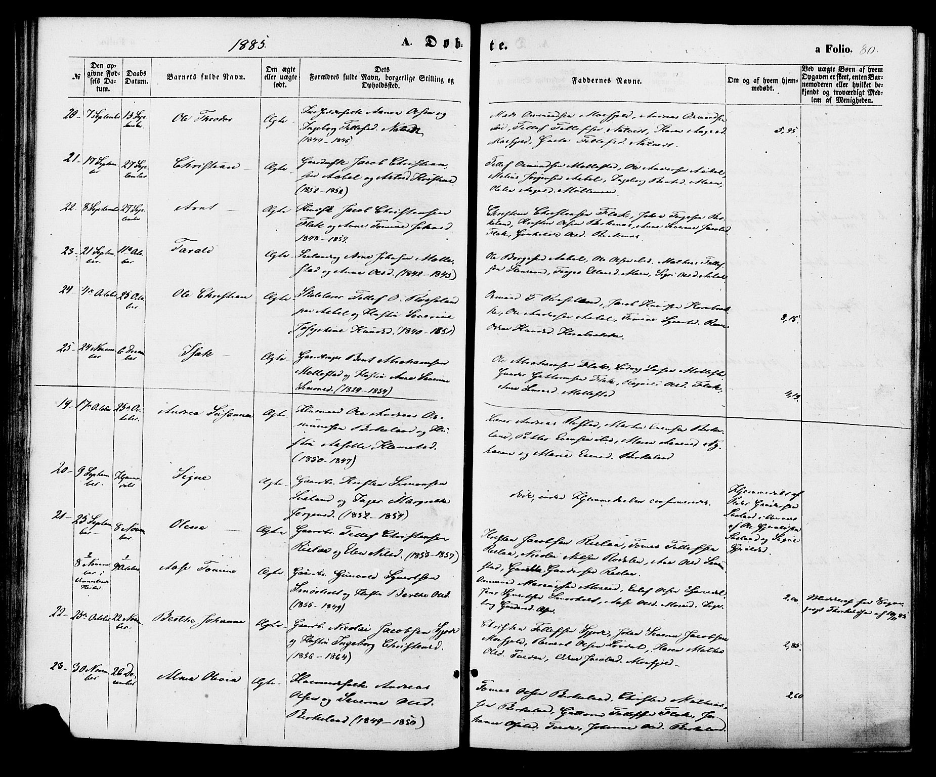 Birkenes sokneprestkontor, AV/SAK-1111-0004/F/Fa/L0004: Parish register (official) no. A 4, 1867-1886, p. 80