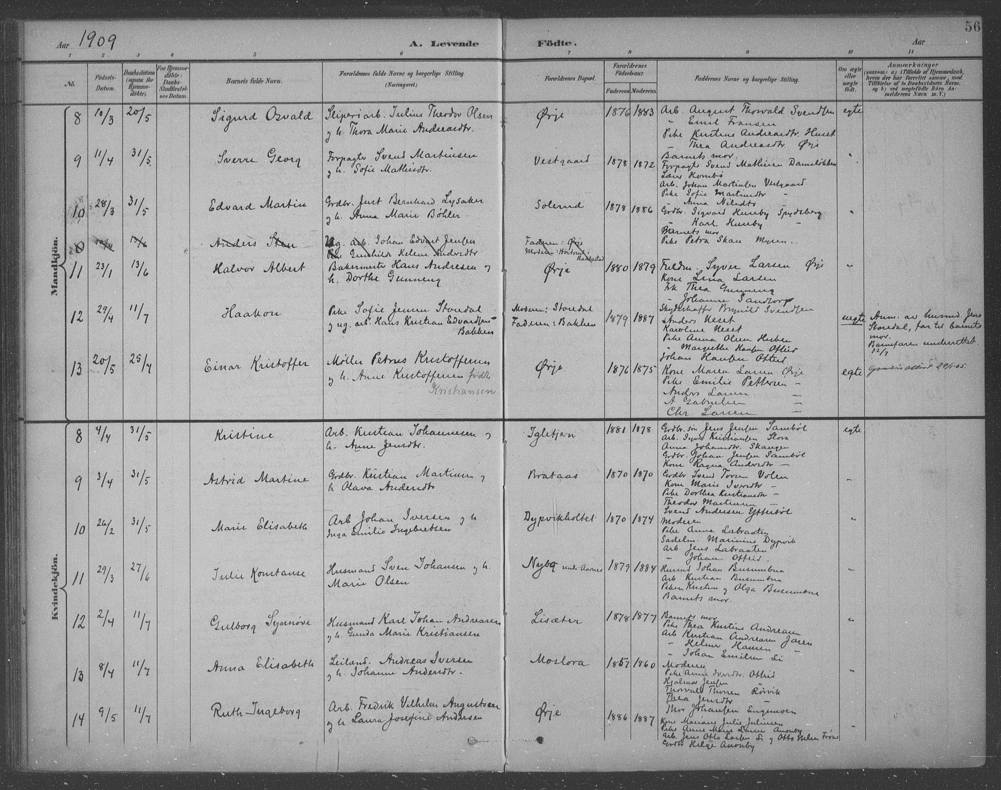 Aremark prestekontor Kirkebøker, AV/SAO-A-10899/F/Fb/L0005: Parish register (official) no. II 5, 1895-1919, p. 56