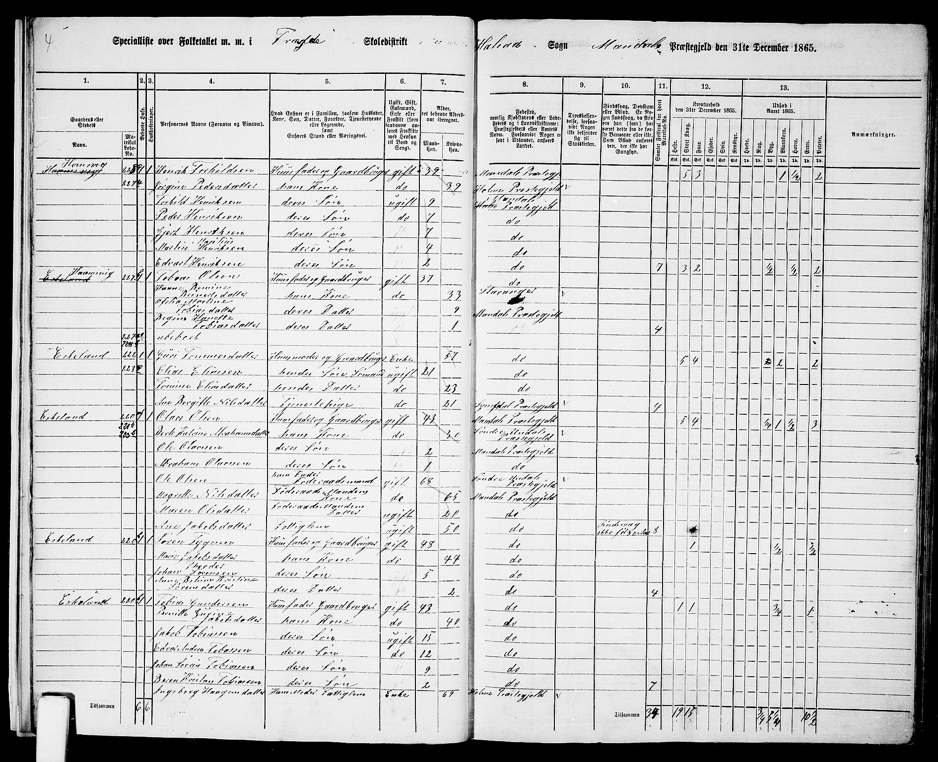 RA, 1865 census for Mandal/Halse og Harkmark, 1865, p. 20