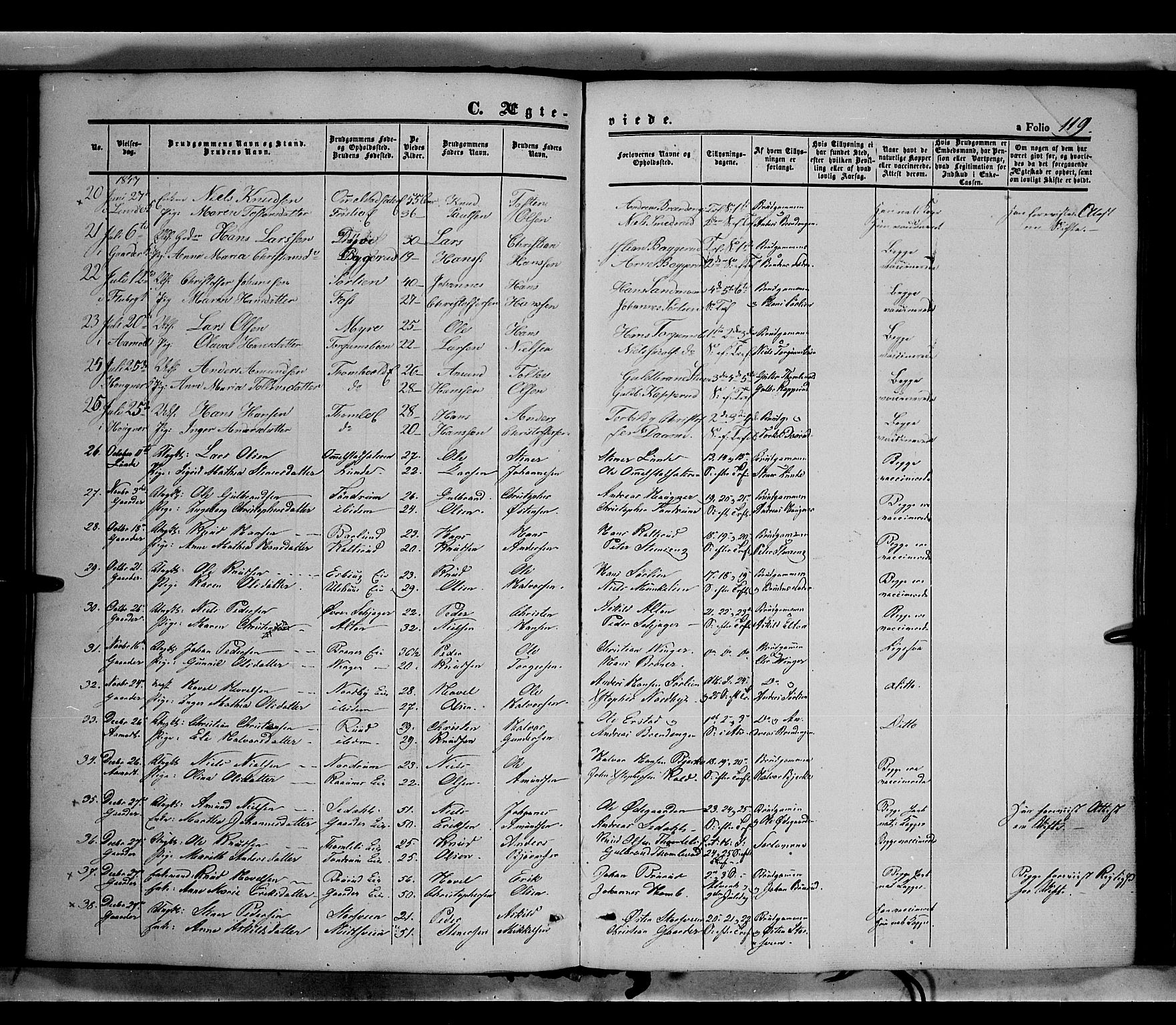 Land prestekontor, SAH/PREST-120/H/Ha/Haa/L0010: Parish register (official) no. 10, 1847-1859, p. 119