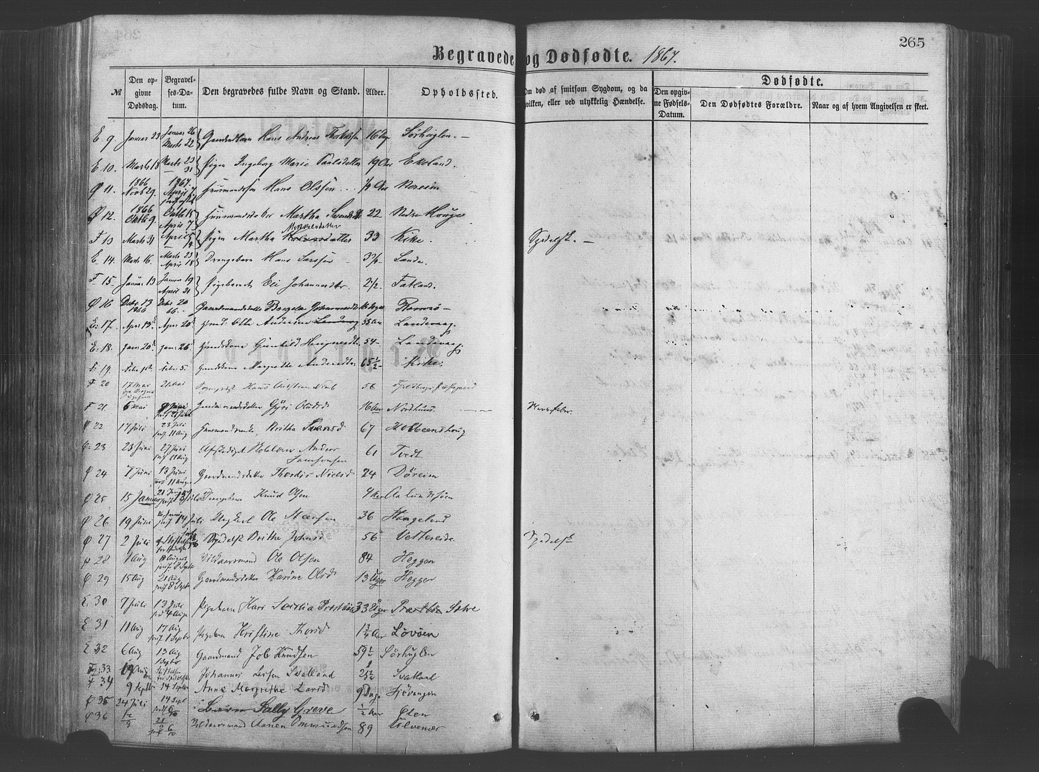 Fjelberg sokneprestembete, SAB/A-75201/H/Haa: Parish register (official) no. A 8, 1866-1879, p. 265