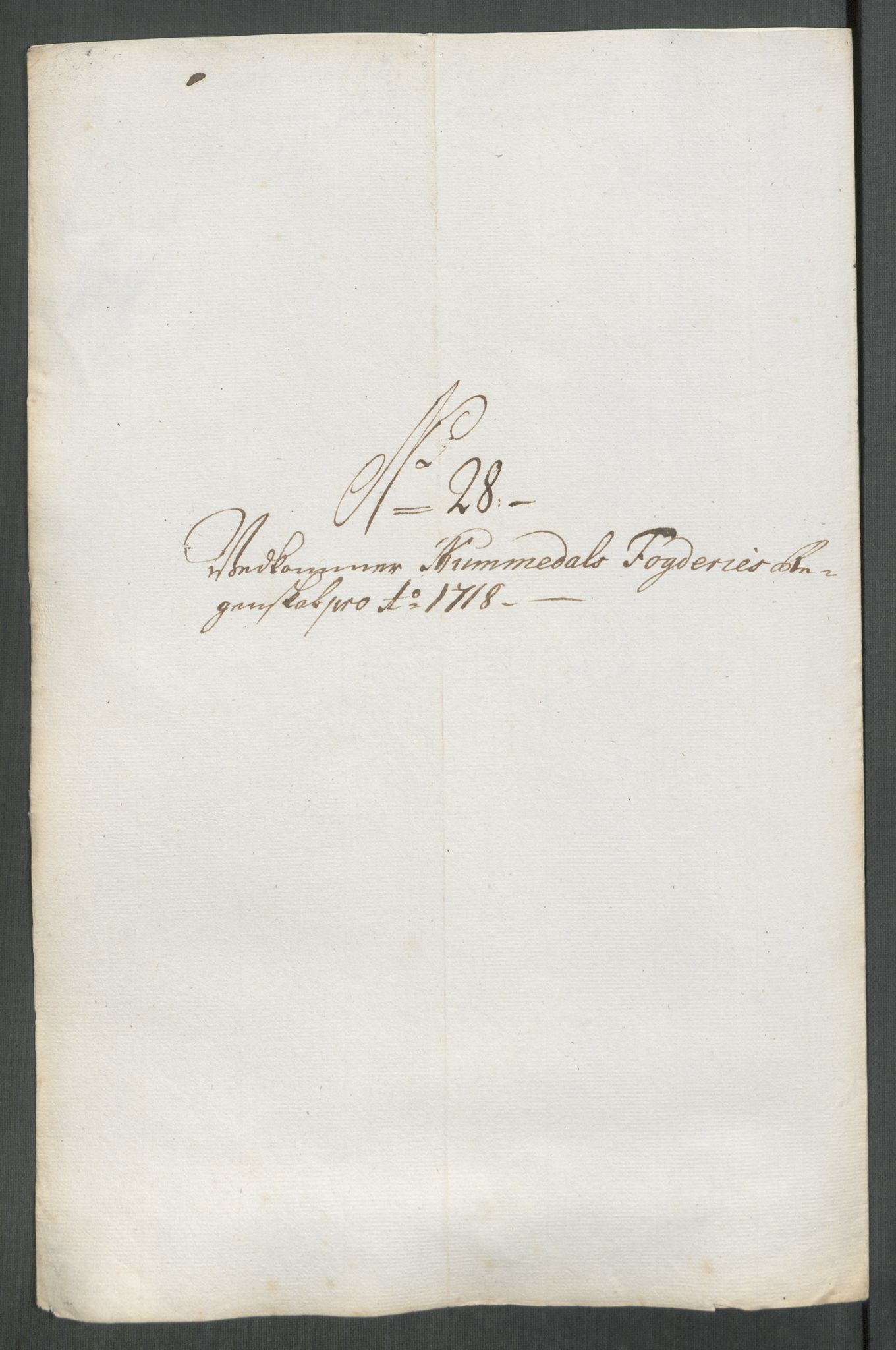 Rentekammeret inntil 1814, Reviderte regnskaper, Fogderegnskap, AV/RA-EA-4092/R64/L4439: Fogderegnskap Namdal, 1718, p. 197