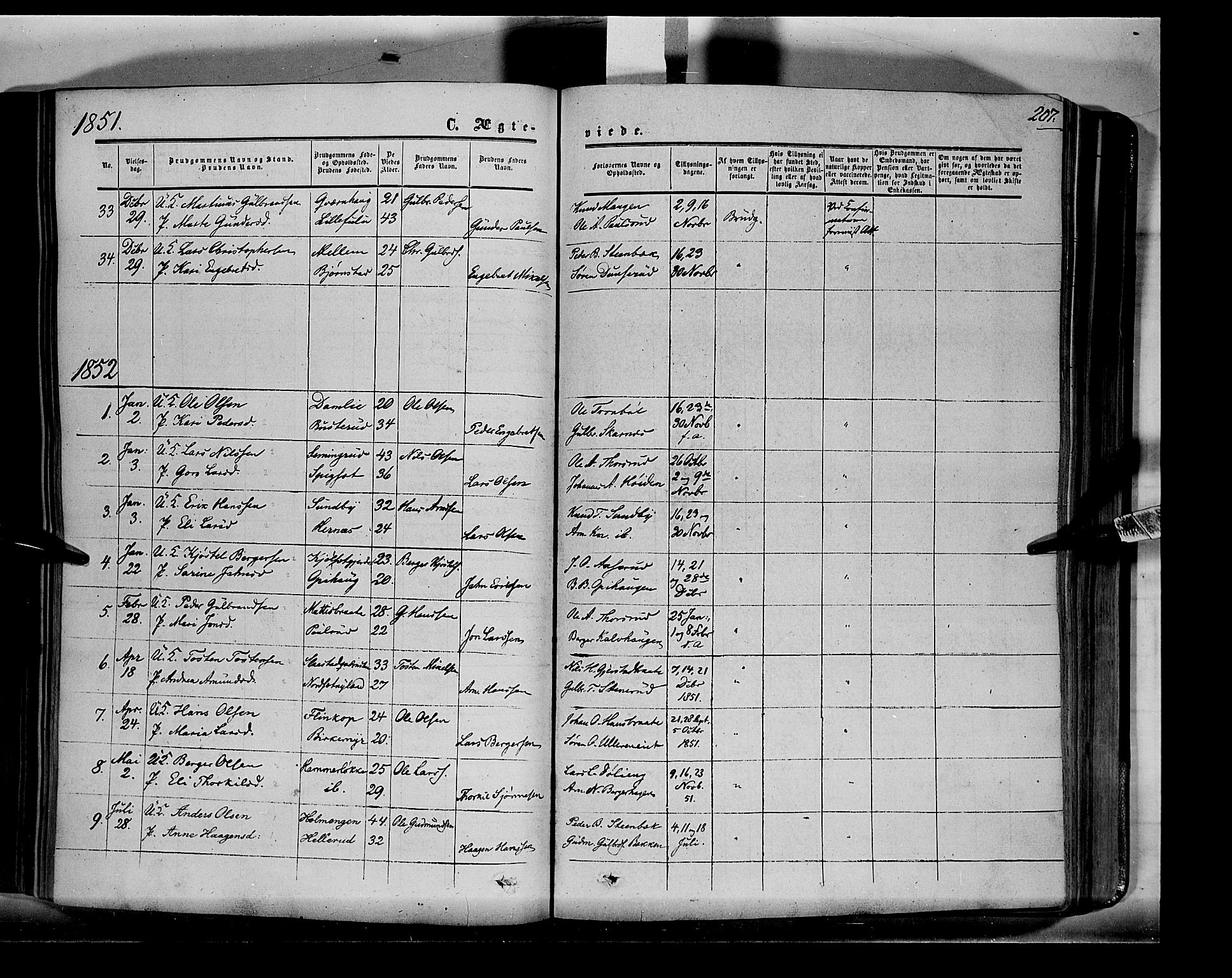 Sør-Odal prestekontor, AV/SAH-PREST-030/H/Ha/Haa/L0001: Parish register (official) no. 1, 1849-1859, p. 207