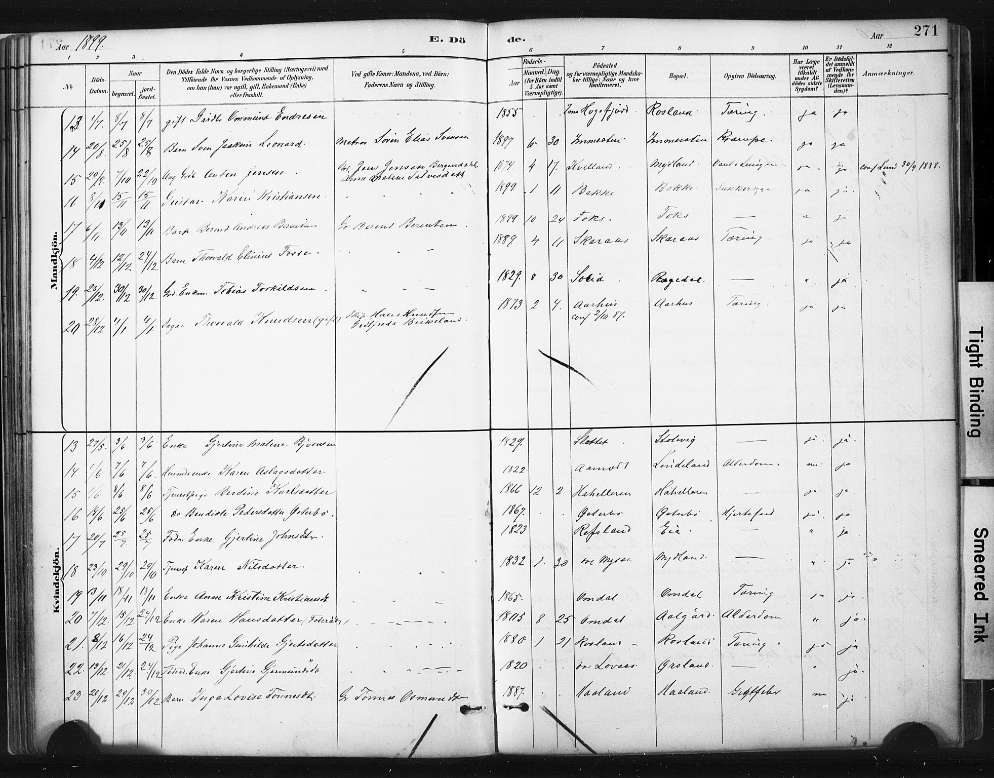 Sokndal sokneprestkontor, AV/SAST-A-101808: Parish register (official) no. A 11.2, 1887-1905, p. 271