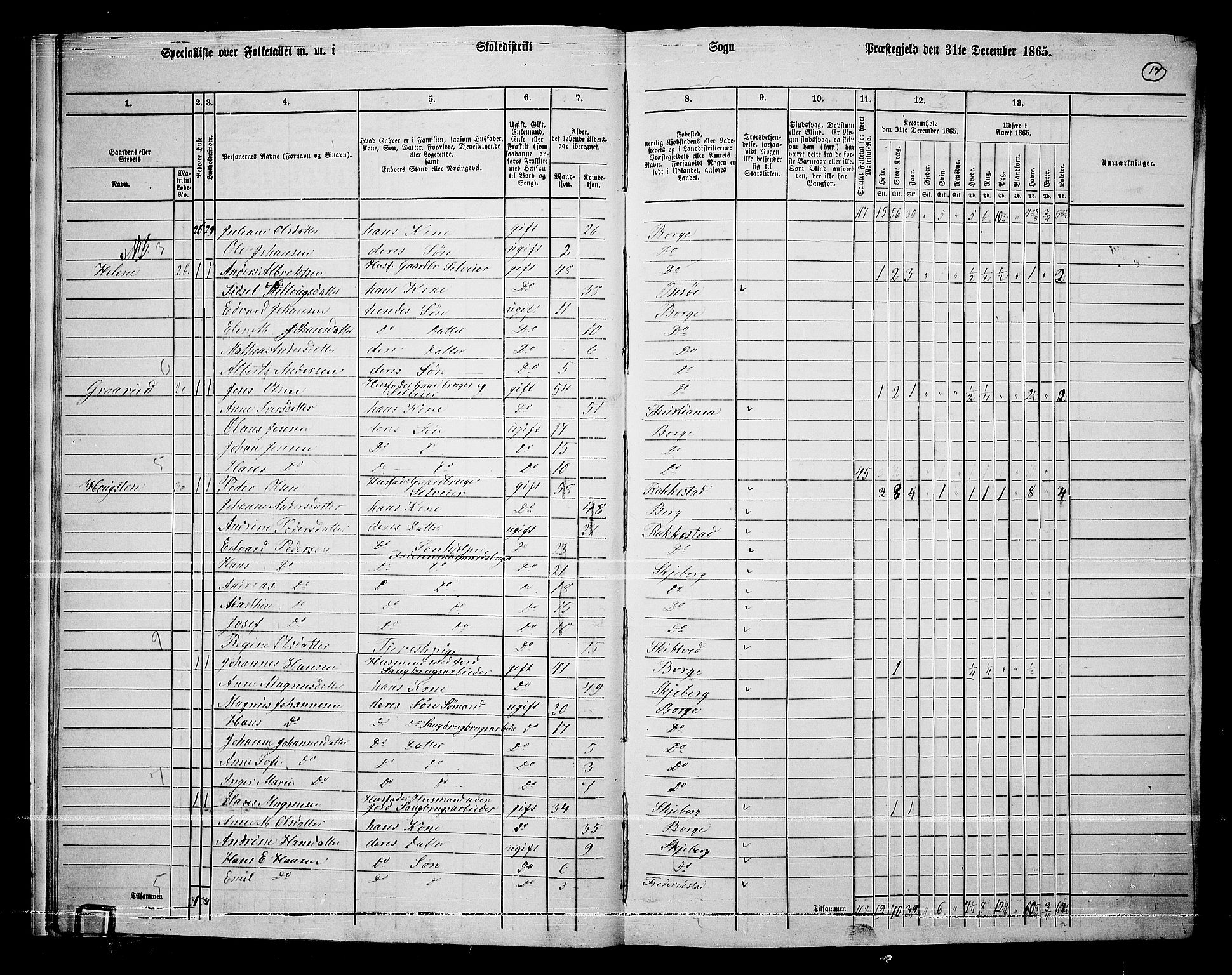RA, 1865 census for Borge, 1865, p. 17