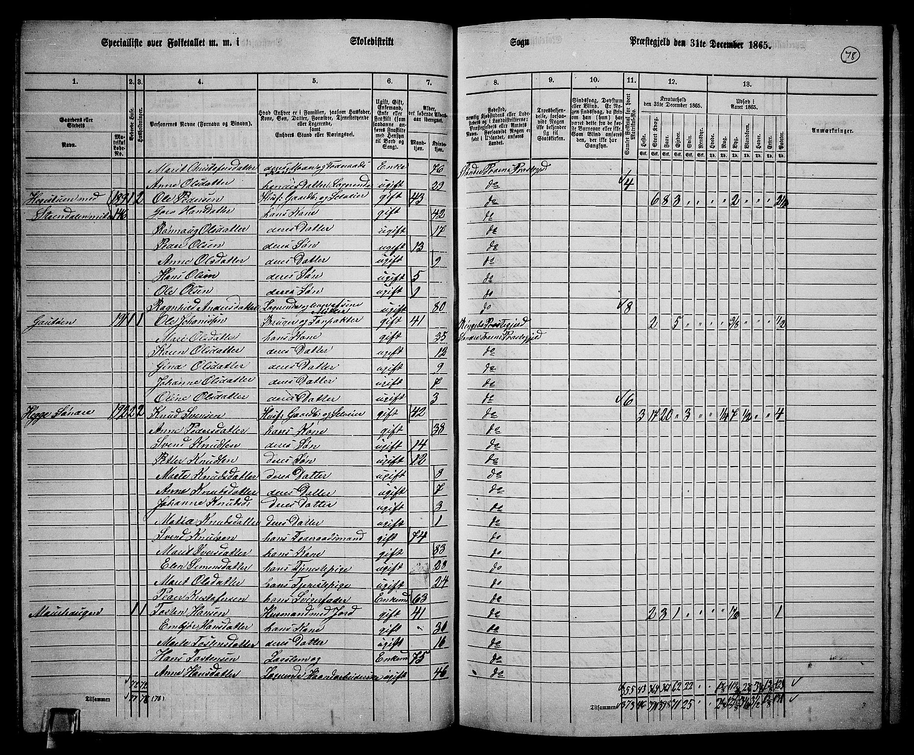 RA, 1865 census for Sør-Fron, 1865, p. 65