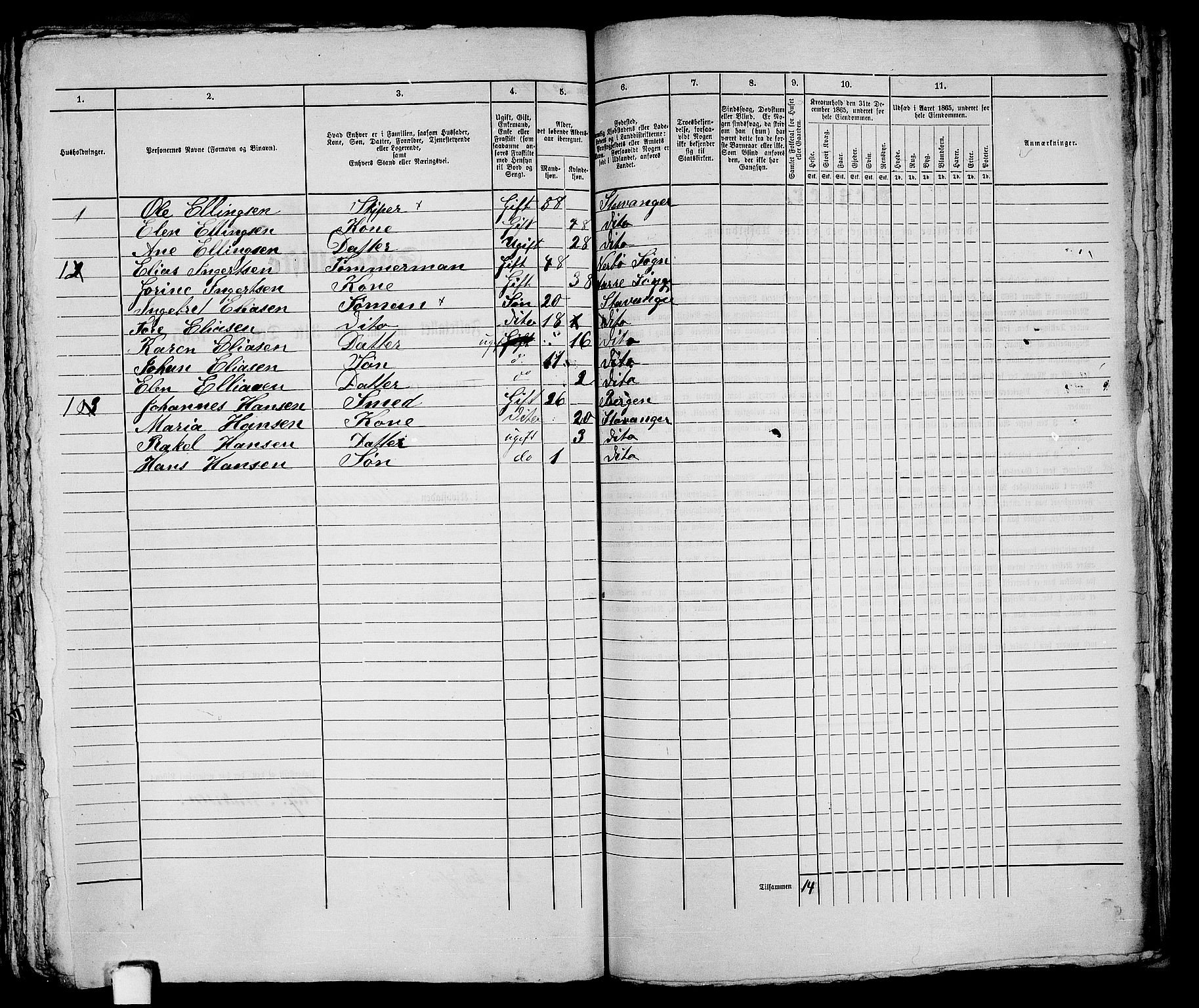 RA, 1865 census for Stavanger, 1865, p. 2939