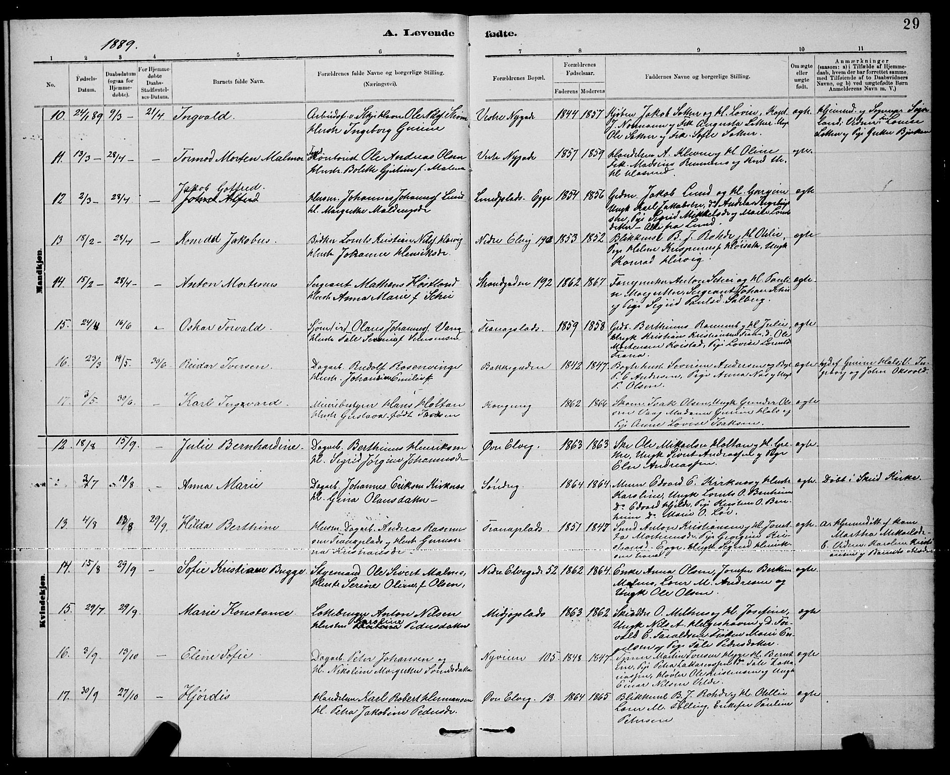 Ministerialprotokoller, klokkerbøker og fødselsregistre - Nord-Trøndelag, AV/SAT-A-1458/739/L0374: Parish register (copy) no. 739C02, 1883-1898, p. 29