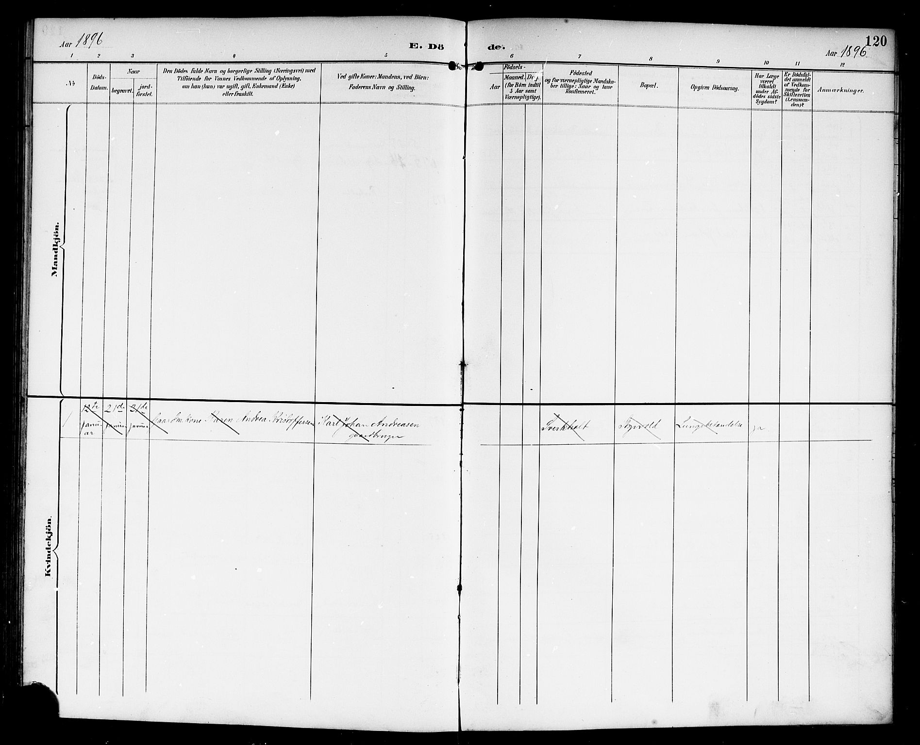 Lardal kirkebøker, AV/SAKO-A-350/G/Gc/L0002: Parish register (copy) no. III 2, 1894-1918, p. 120