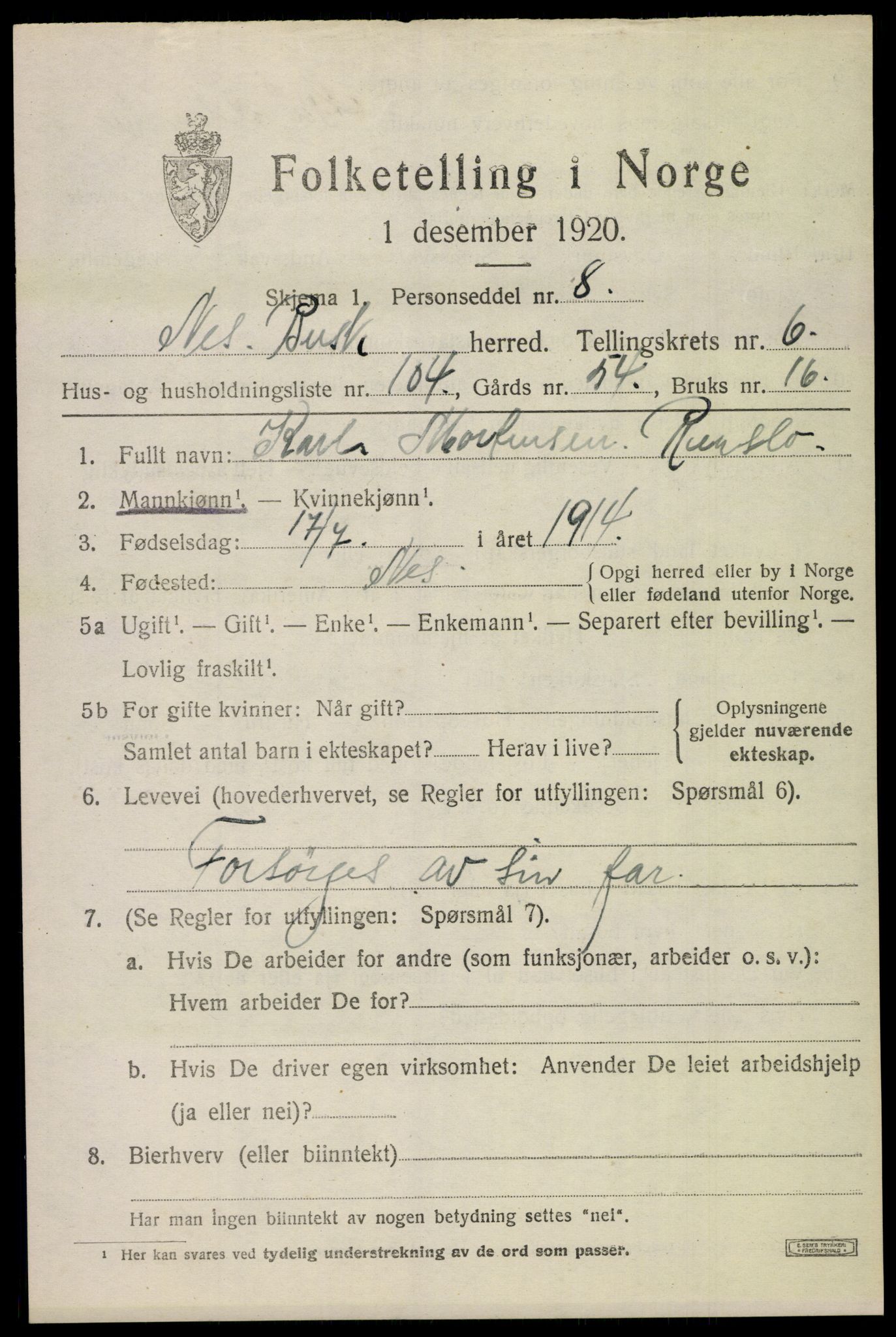 SAKO, 1920 census for Nes (Buskerud), 1920, p. 4328