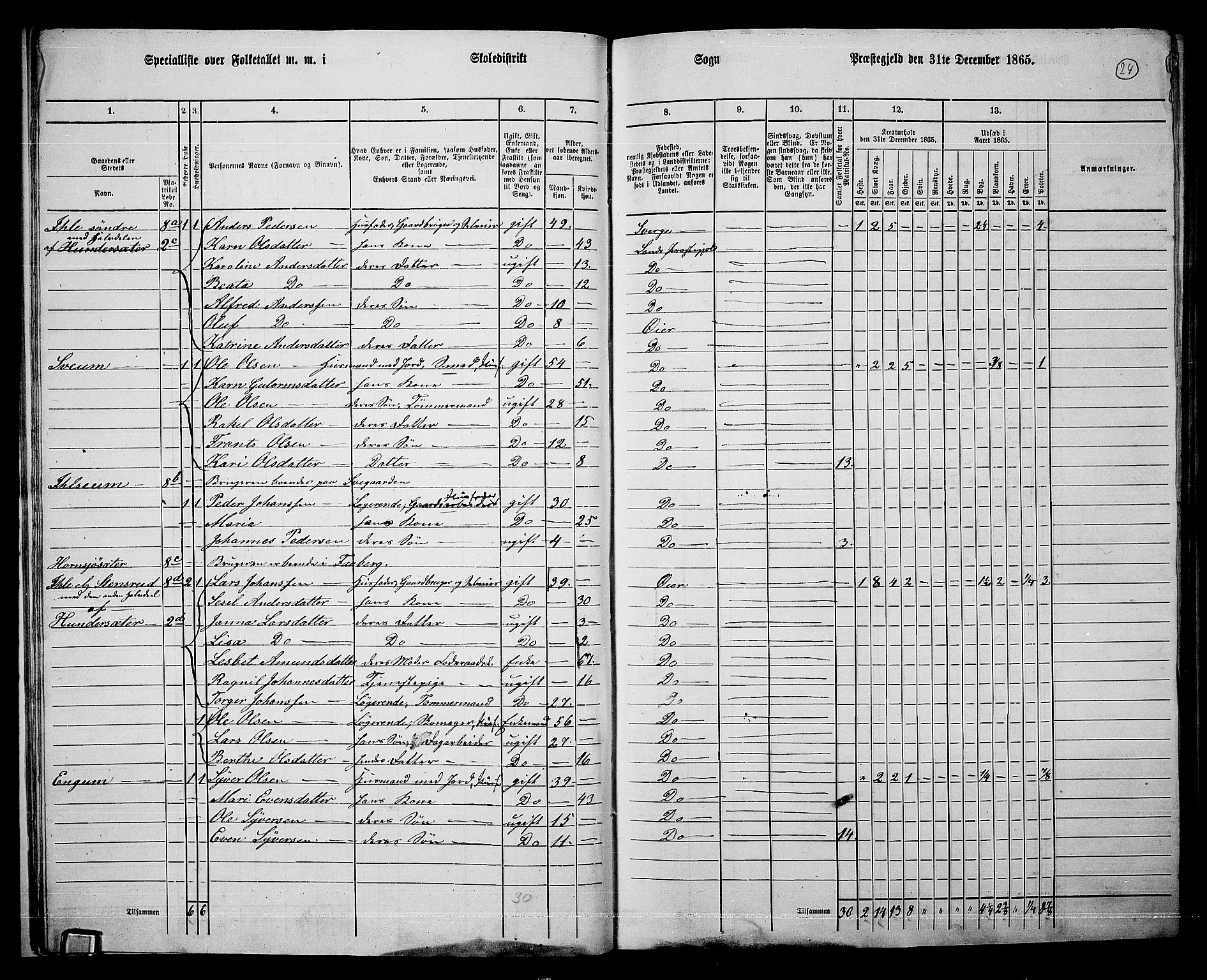 RA, 1865 census for Øyer, 1865, p. 21