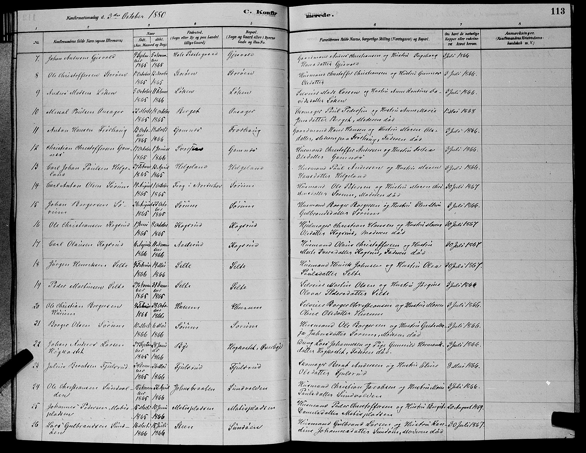 Hole kirkebøker, AV/SAKO-A-228/G/Ga/L0003: Parish register (copy) no. I 3, 1879-1904, p. 113