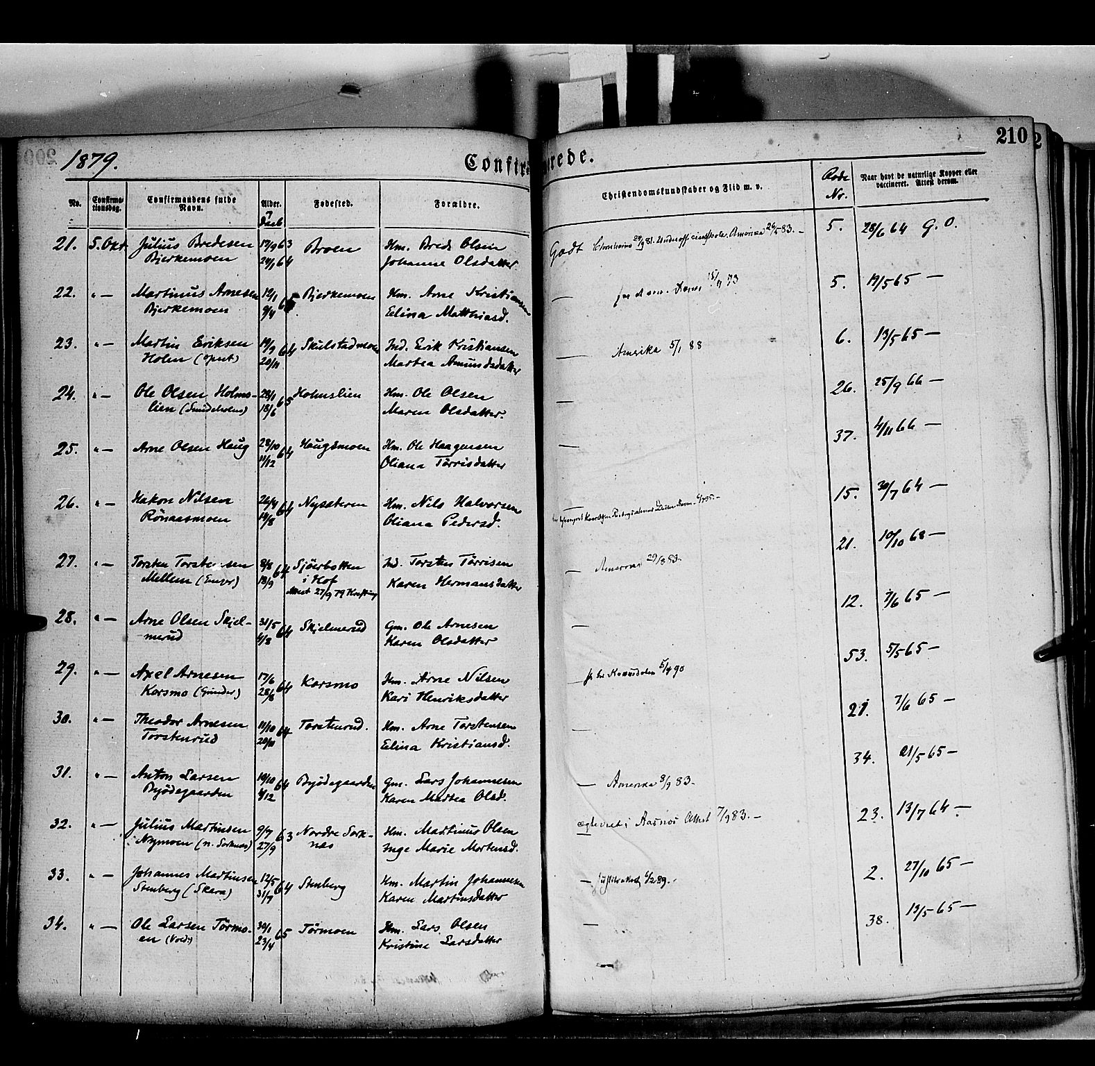 Grue prestekontor, AV/SAH-PREST-036/H/Ha/Haa/L0011: Parish register (official) no. 11, 1873-1880, p. 210