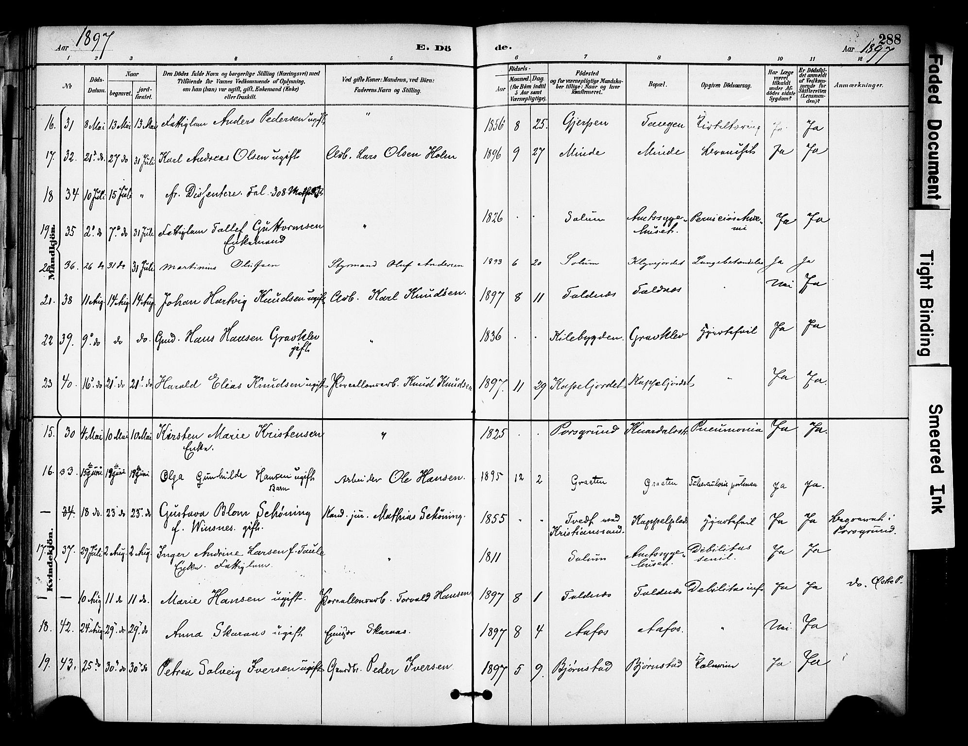 Solum kirkebøker, AV/SAKO-A-306/F/Fa/L0010: Parish register (official) no. I 10, 1888-1898, p. 288