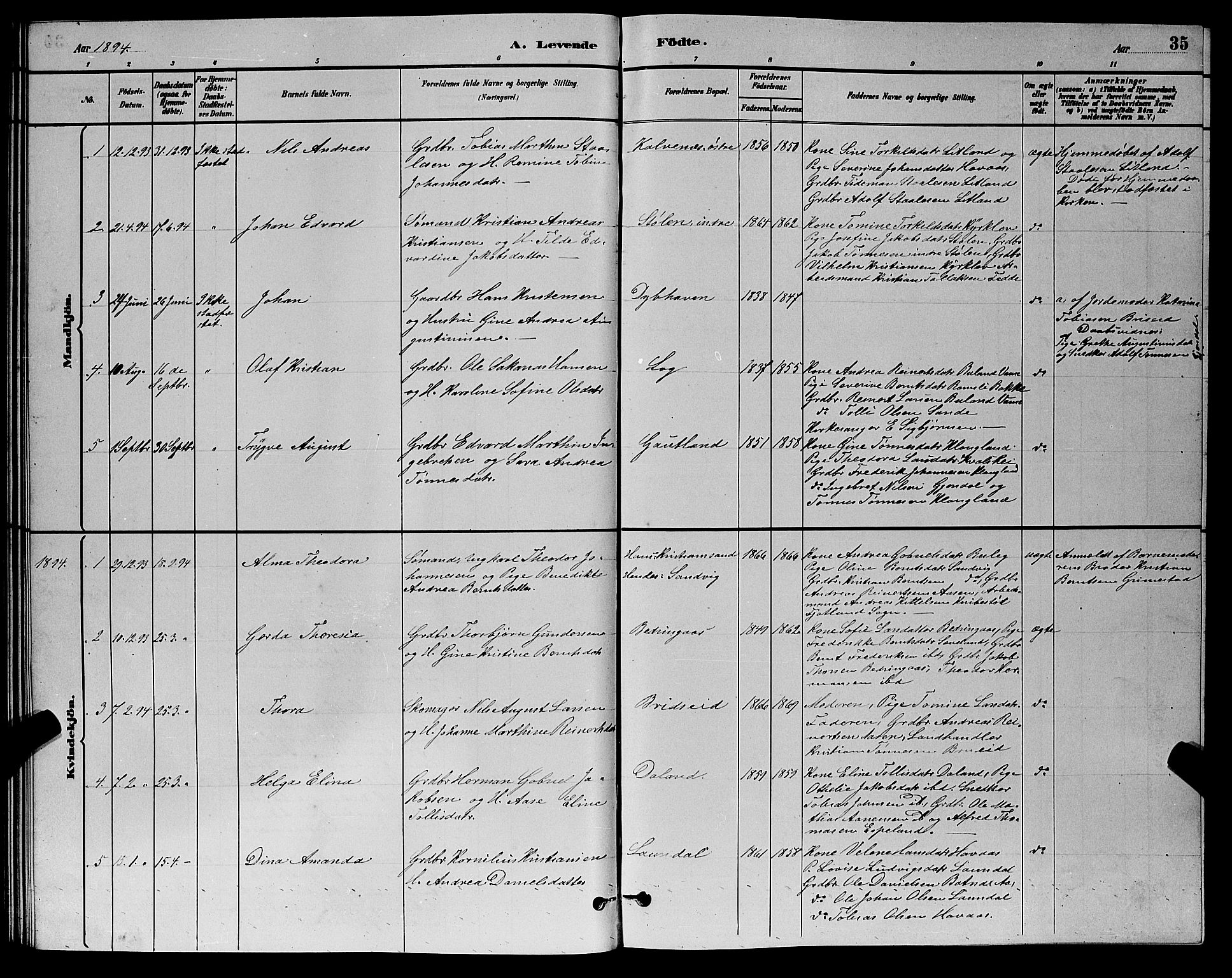 Herad sokneprestkontor, AV/SAK-1111-0018/F/Fb/Fba/L0004: Parish register (copy) no. B 4, 1882-1899, p. 35