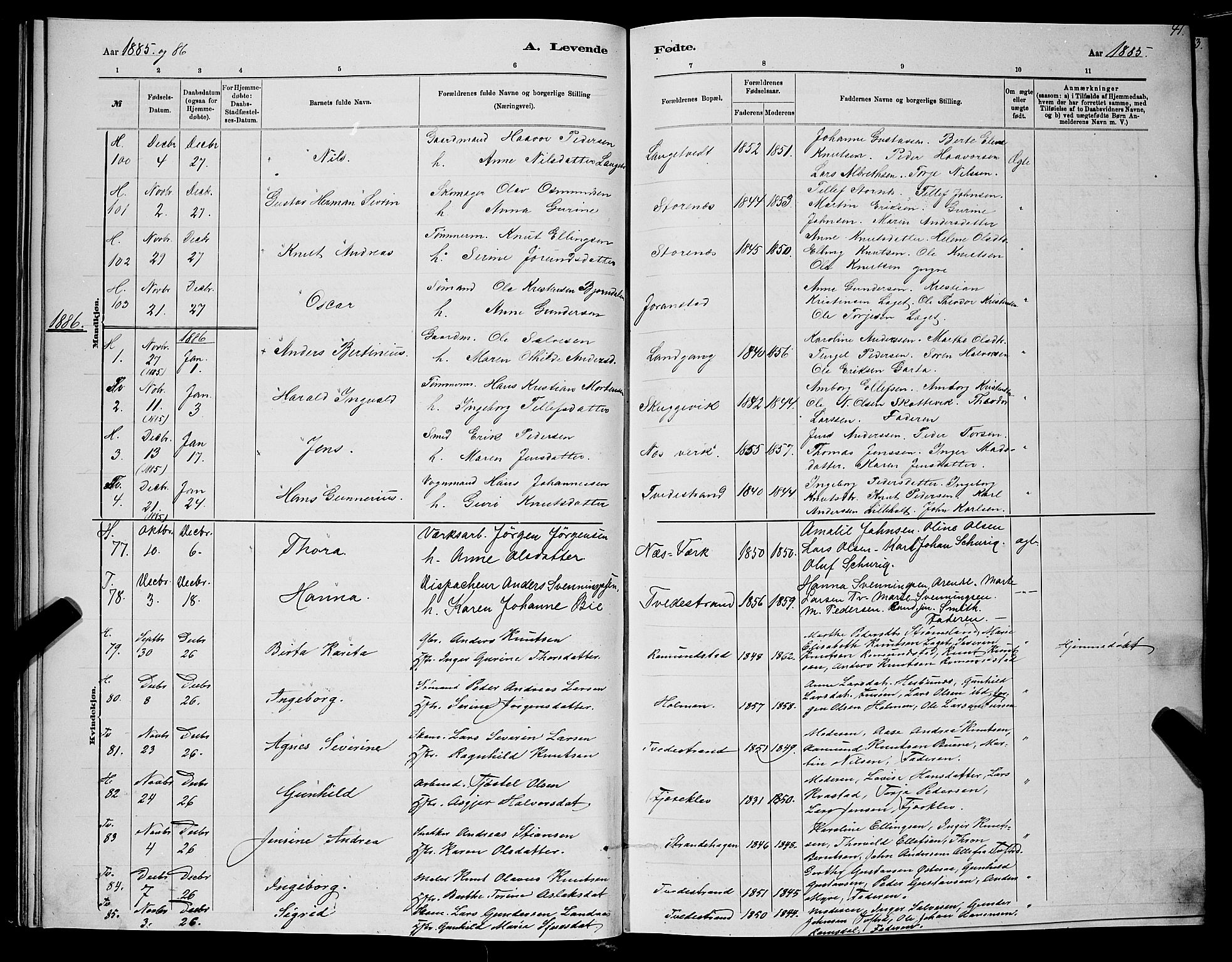 Holt sokneprestkontor, SAK/1111-0021/F/Fb/L0010: Parish register (copy) no. B 10, 1883-1896, p. 41