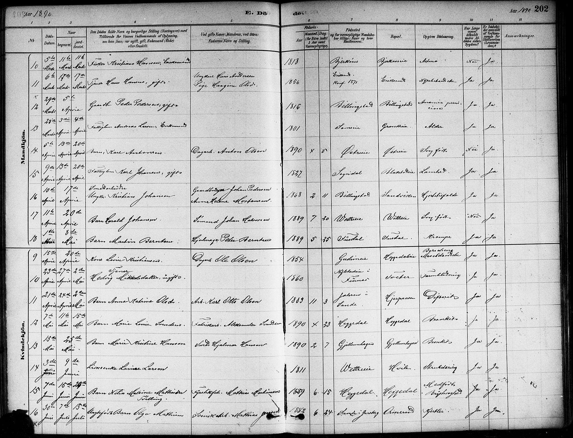 Asker prestekontor Kirkebøker, SAO/A-10256a/F/Fa/L0013: Parish register (official) no. I 13, 1879-1896, p. 202